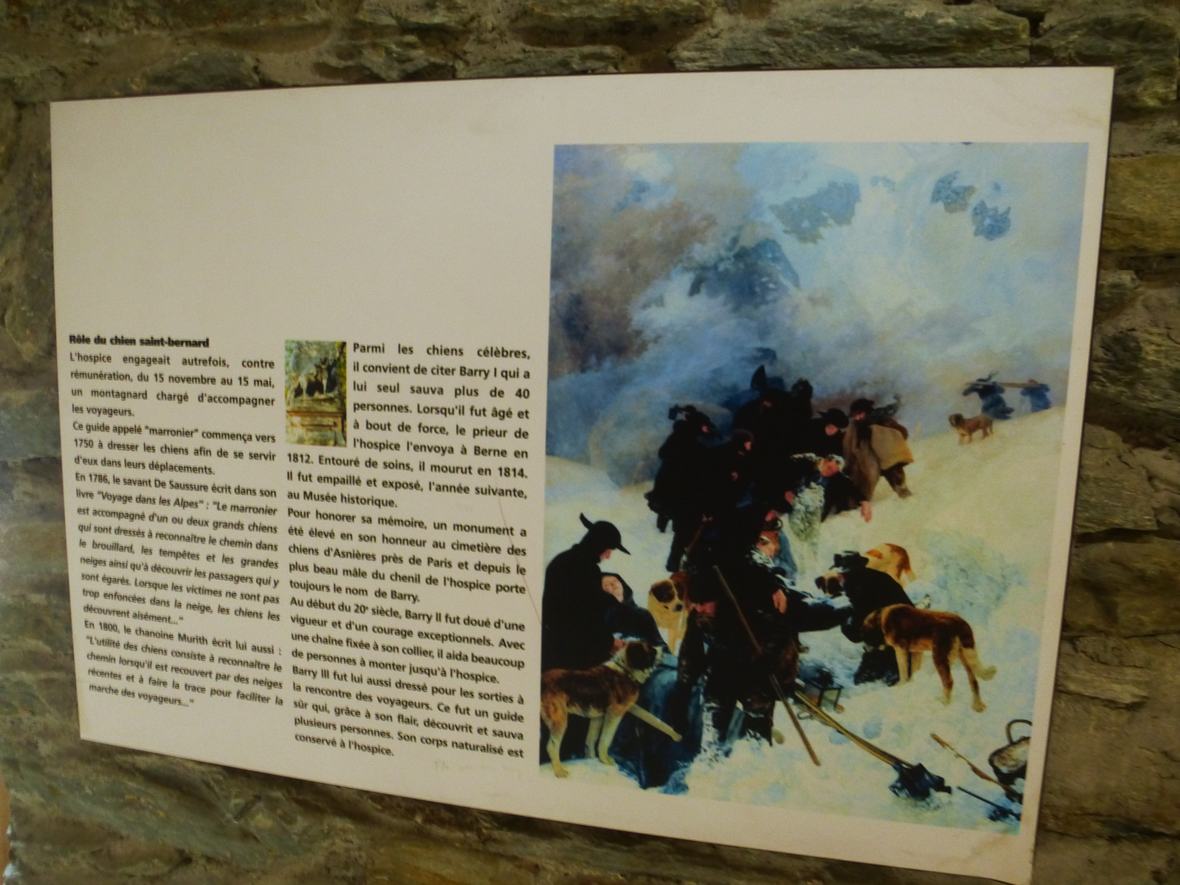 Грейт Сант Бернард Пас Пейзаж (45)