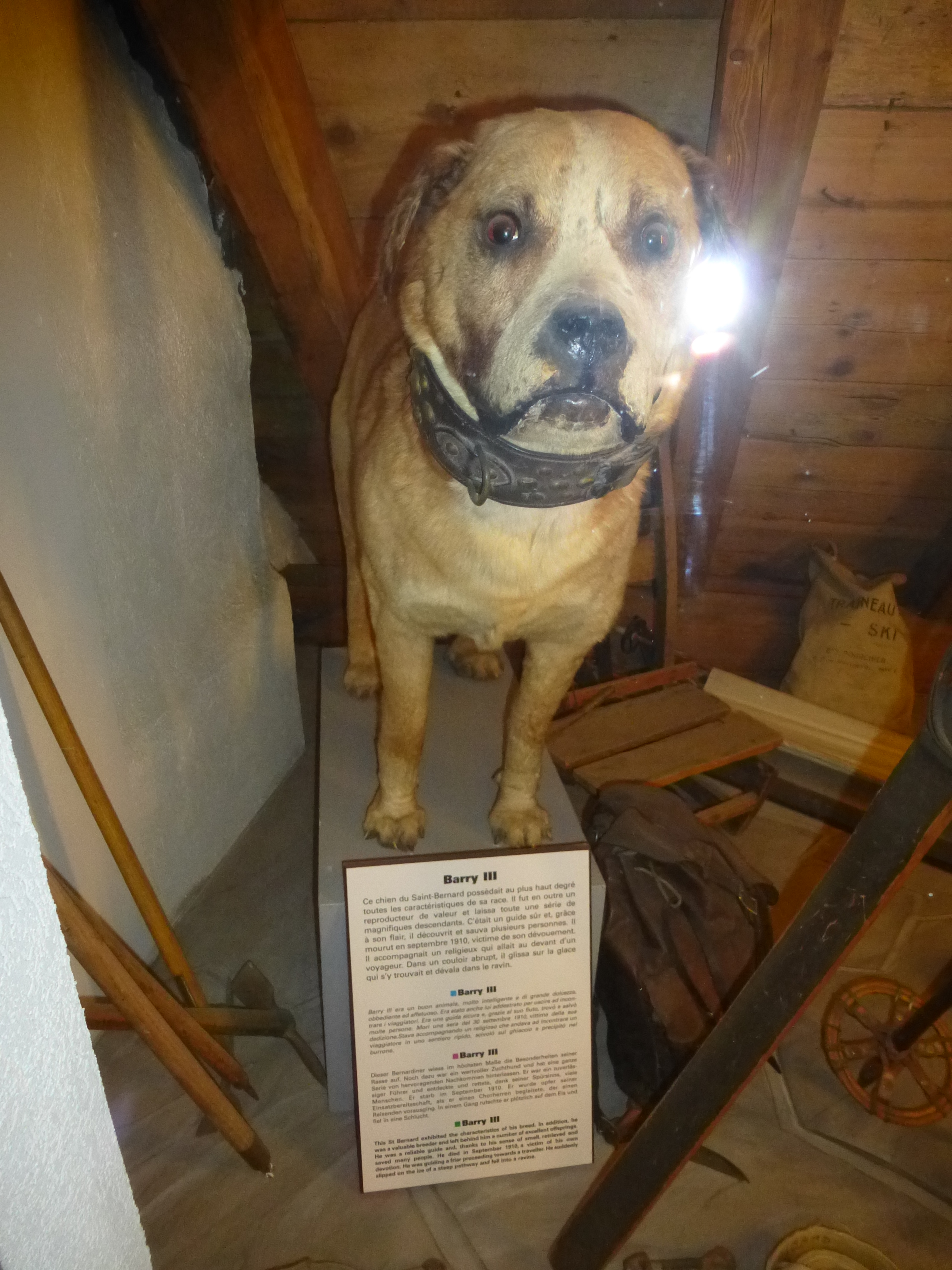 Грейт Сант Бернард Пас Пейзаж (72)