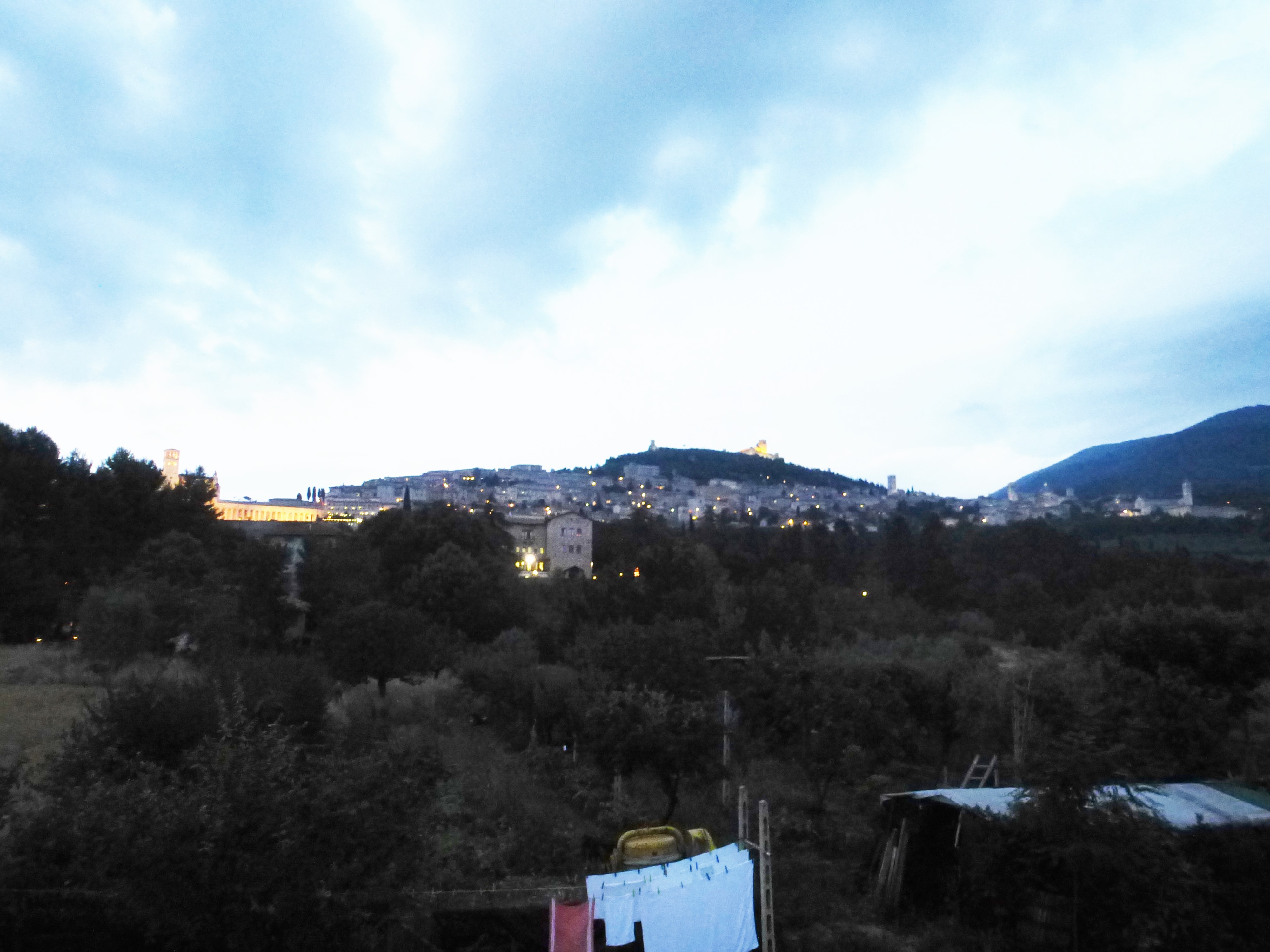 Из Асизи (123)