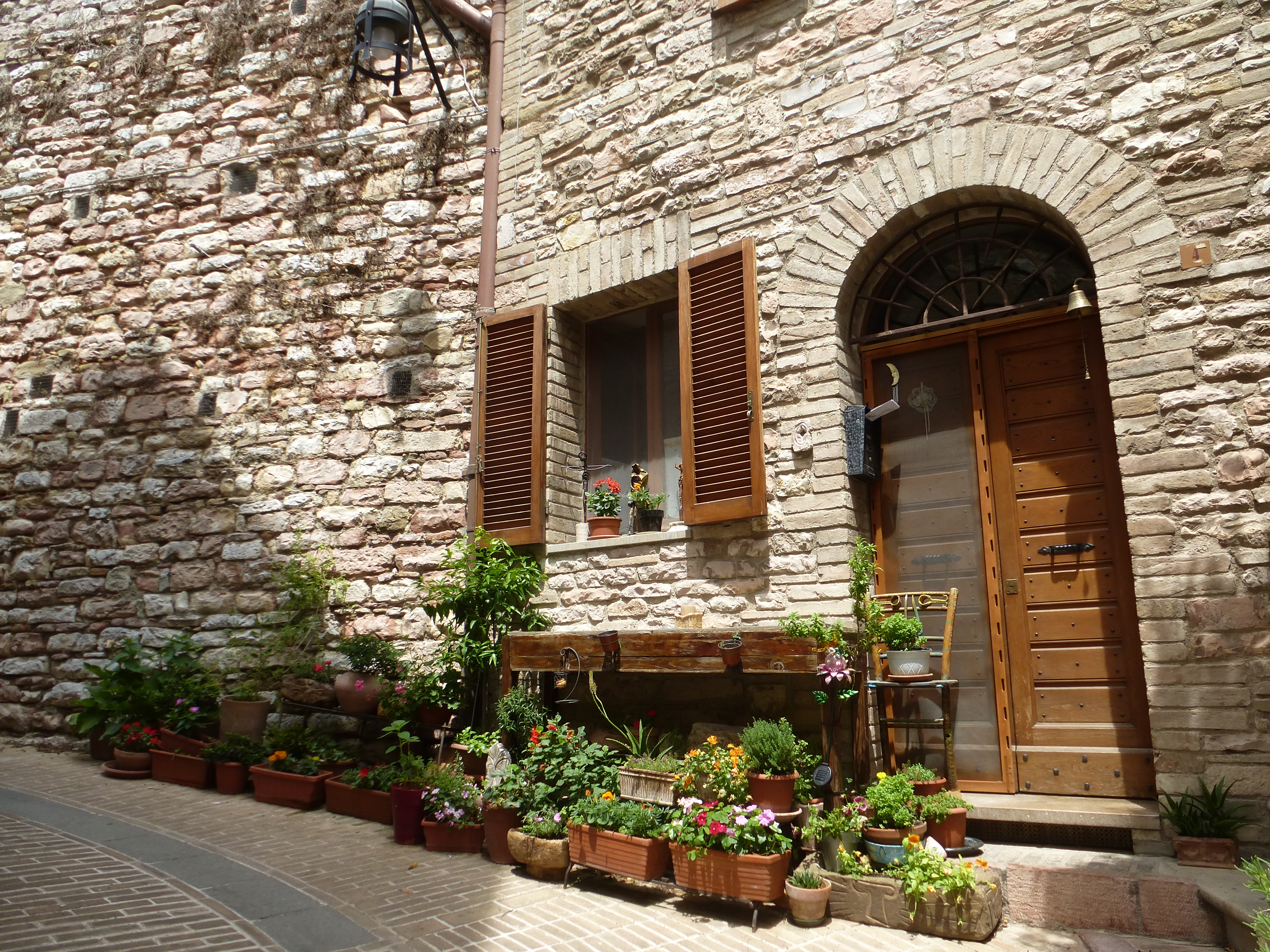 Из Асизи (54)