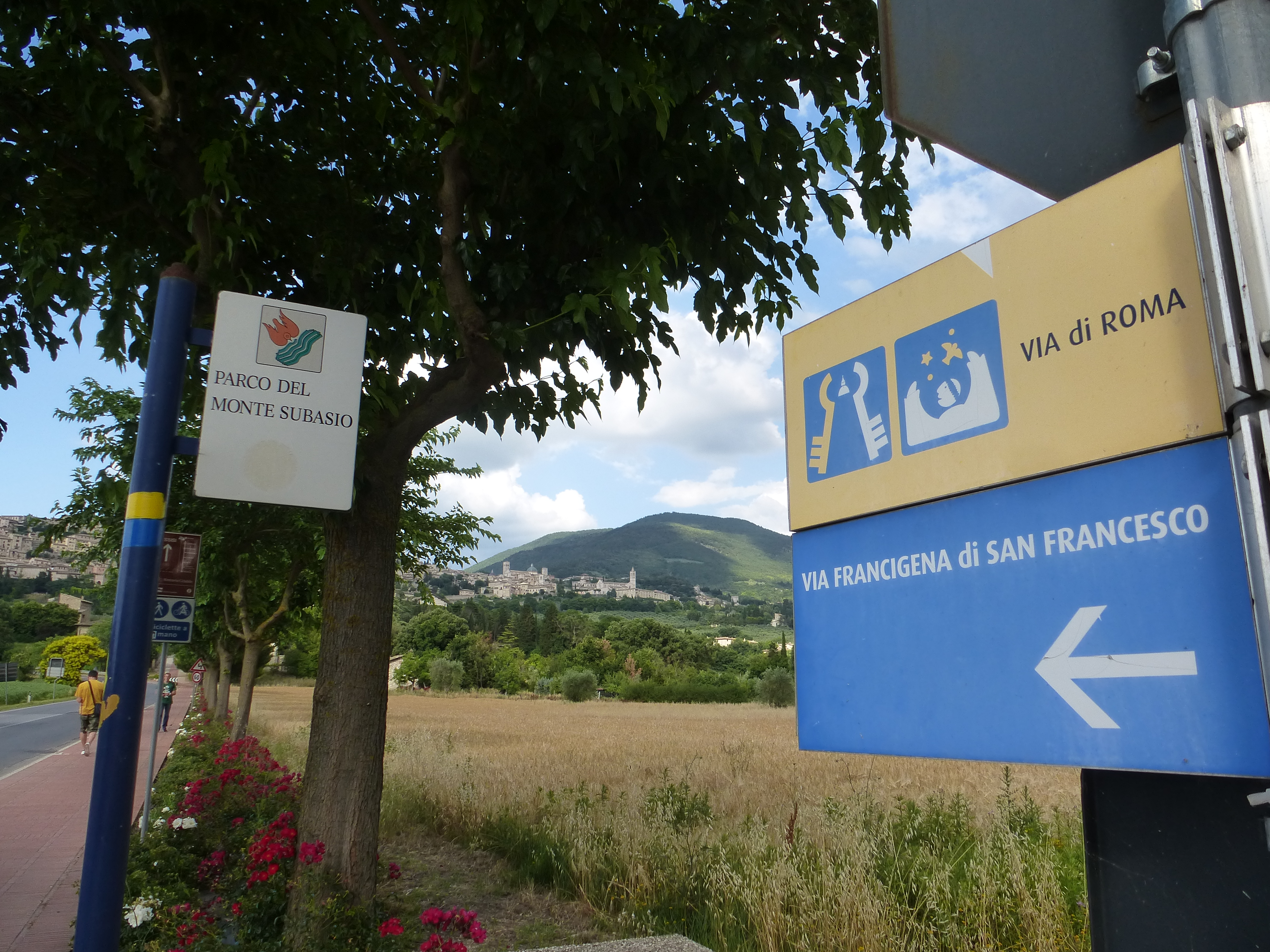 Из Асизи (97)