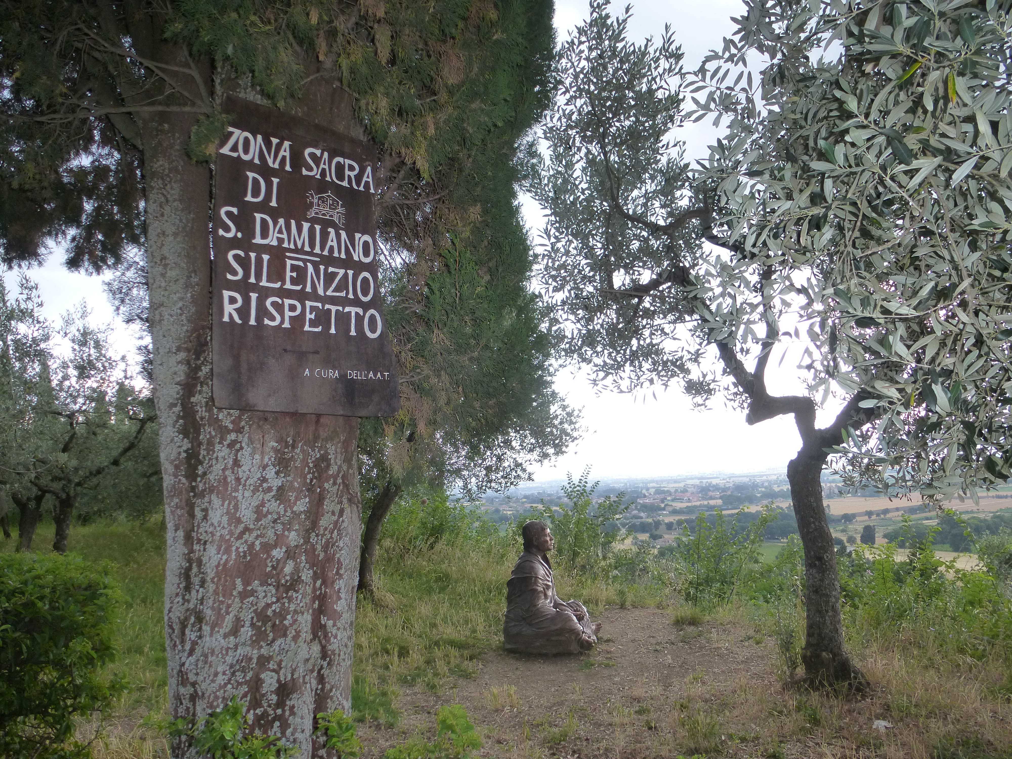 Из Асизи (98)