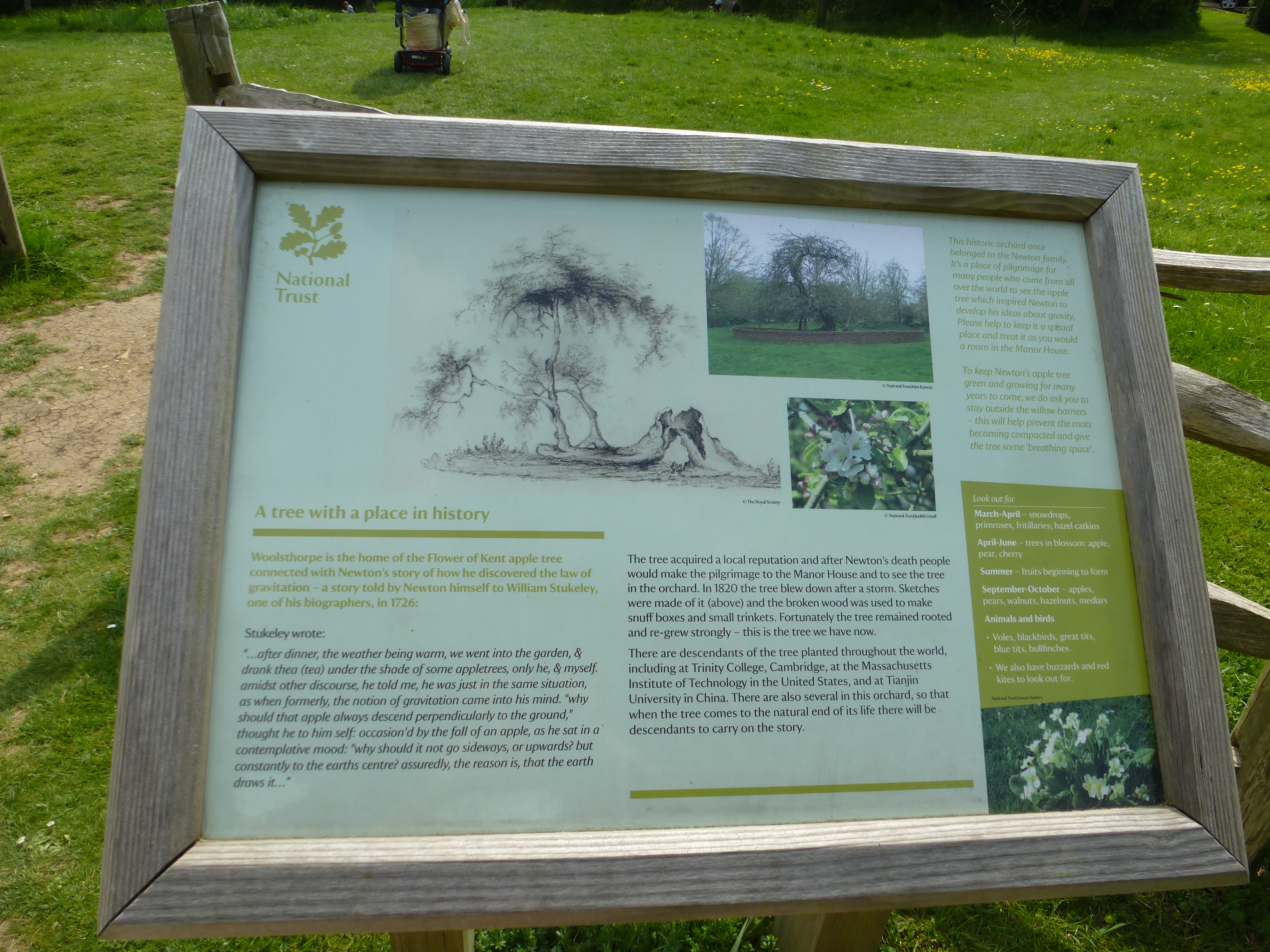 Woolsthorpe Manor - Isaac Newton Birthplace (145)