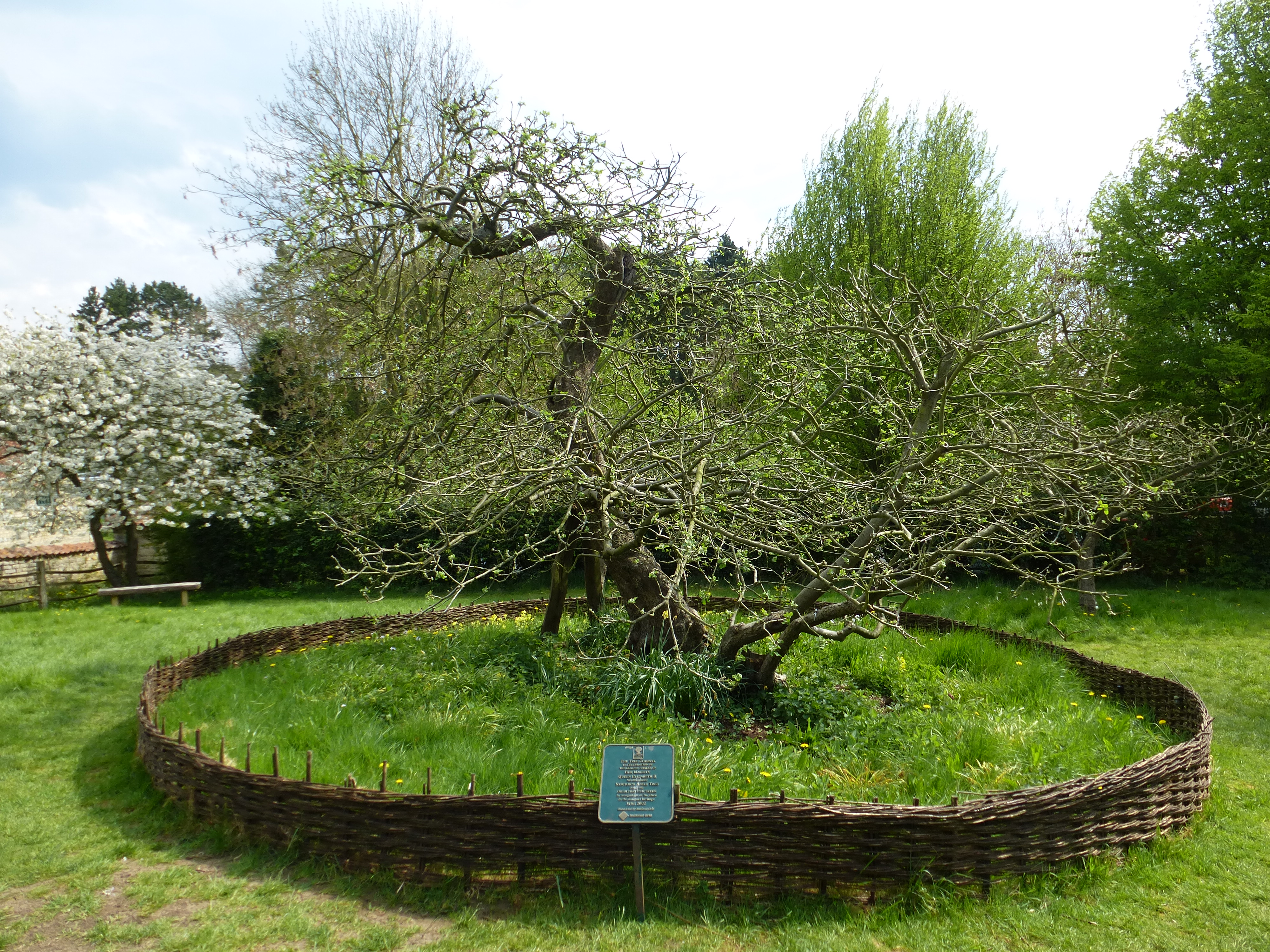 Woolsthorpe Manor - Isaac Newton Birthplace (147)