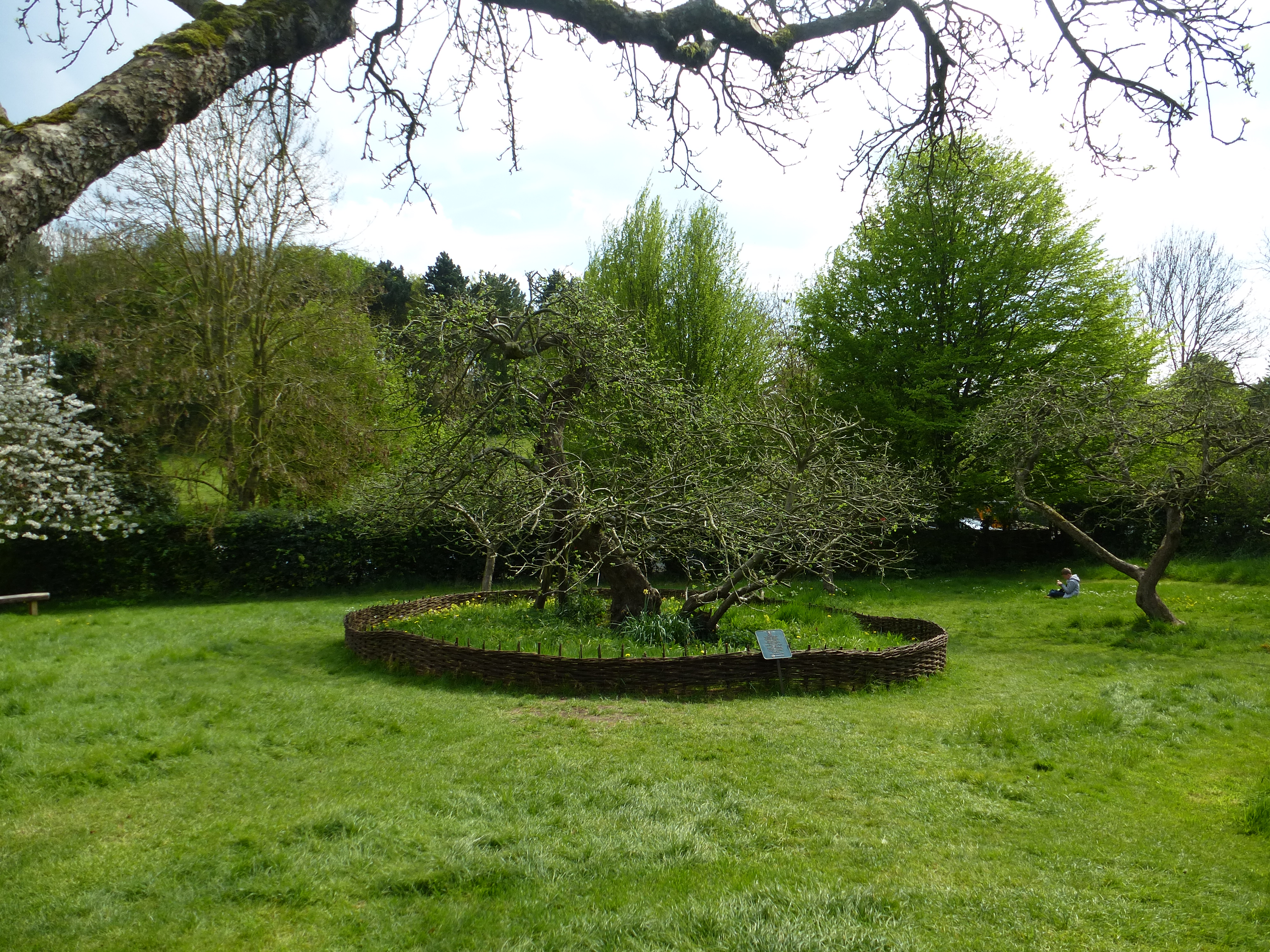 Woolsthorpe Manor - Isaac Newton Birthplace (149)