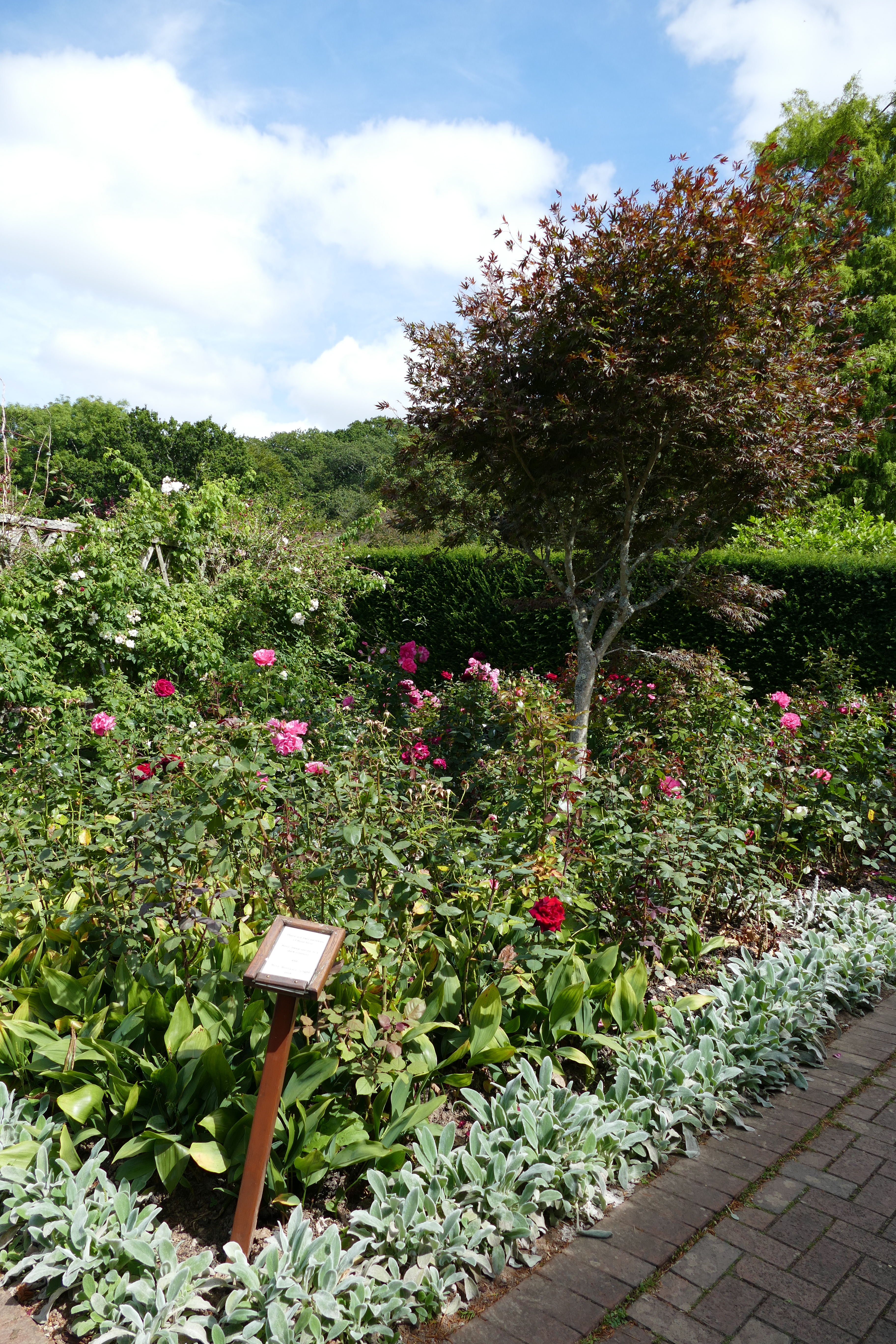 Buckfast Abbey Scenery (10)