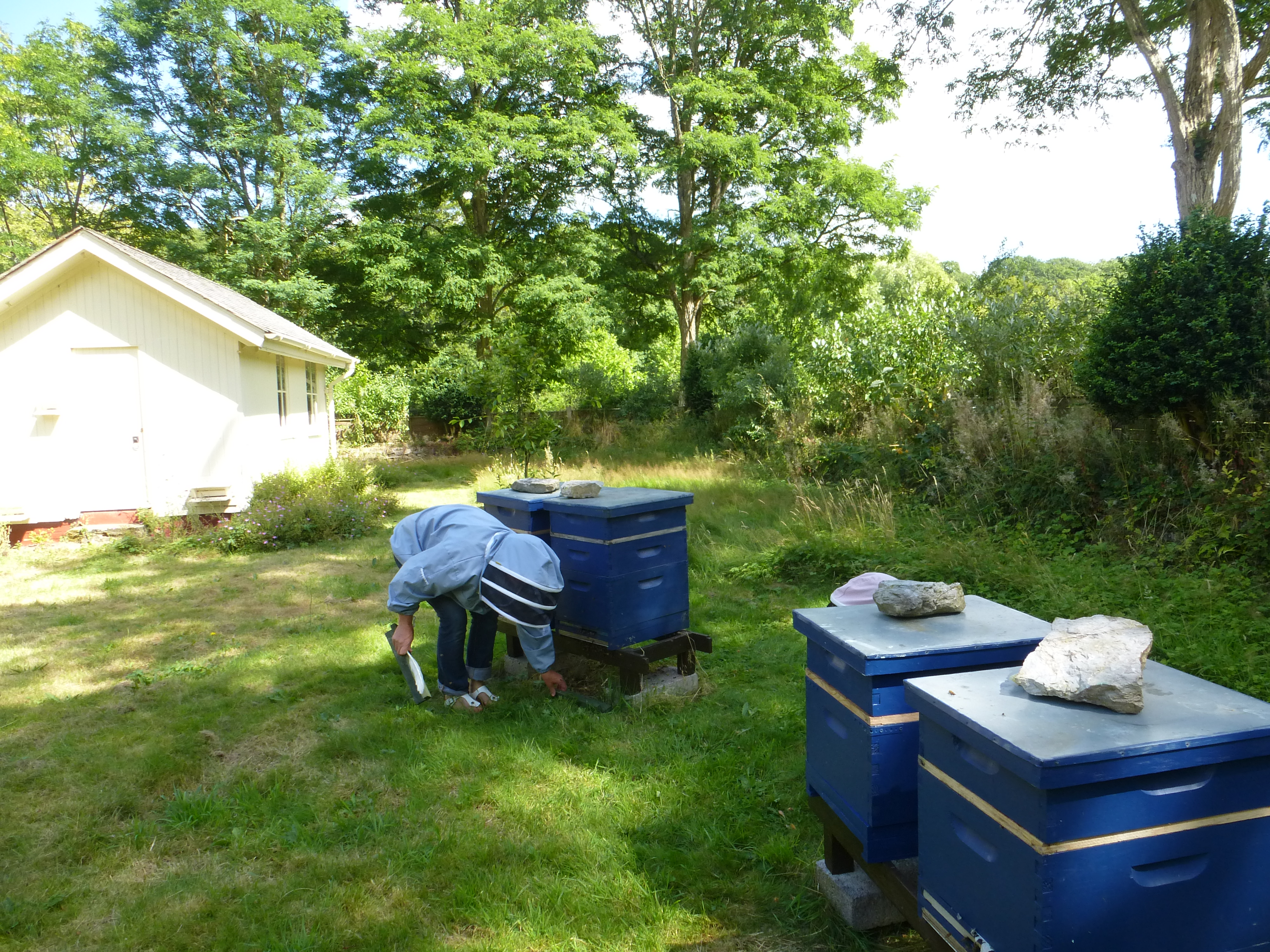 Buckfast Abbey Scenery (118)