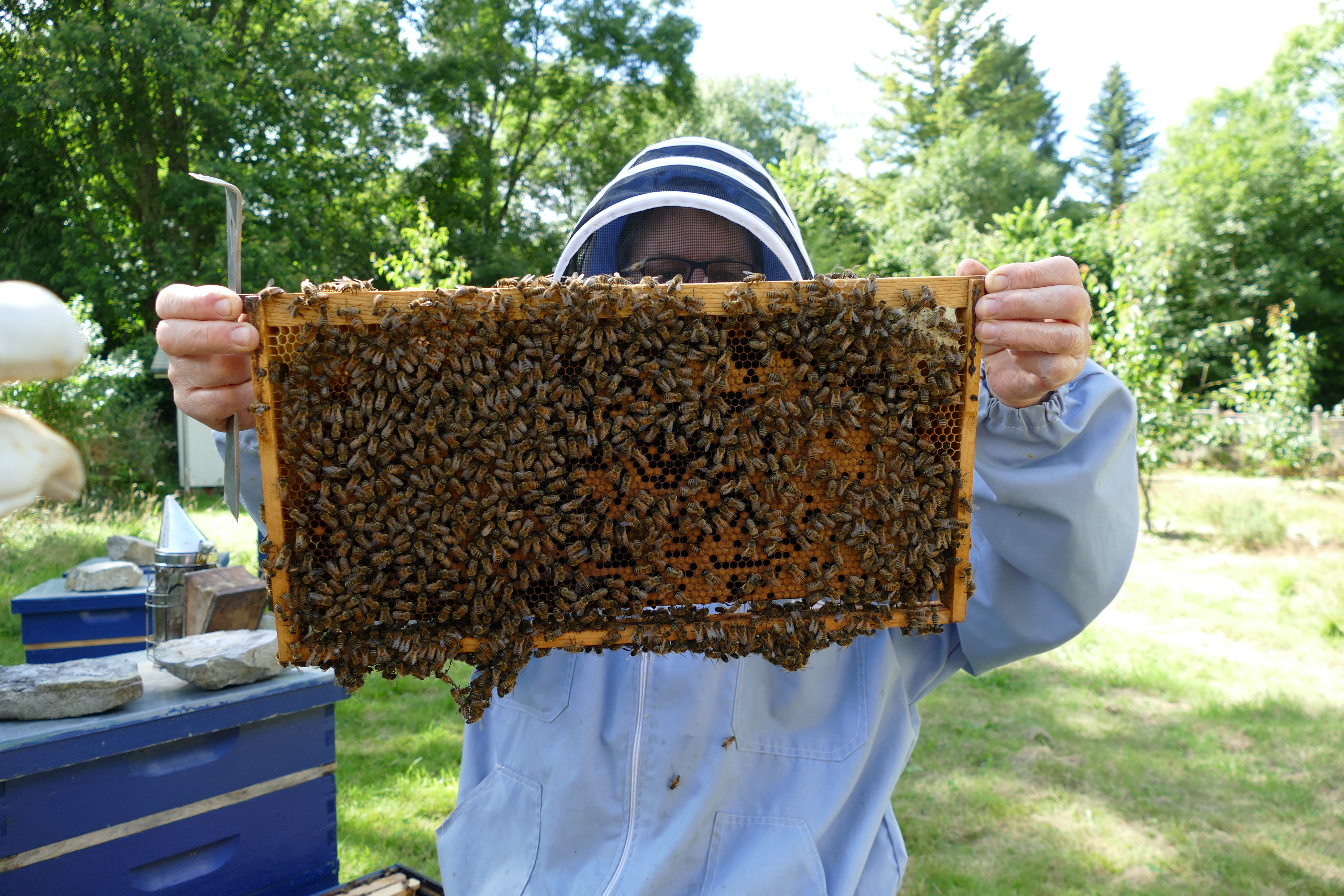 Buckfast Abbey Scenery (190)