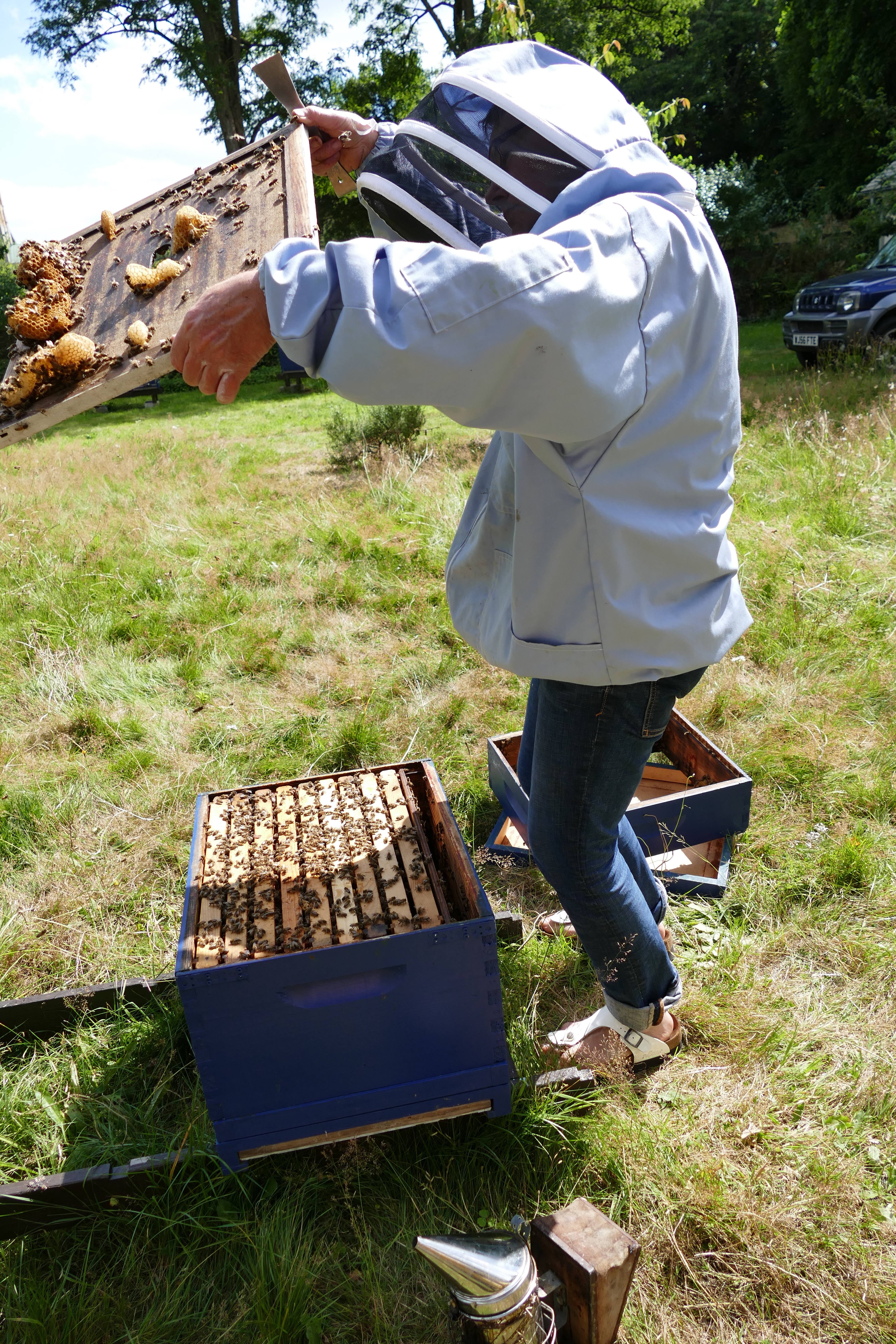 Buckfast Abbey Scenery (251)