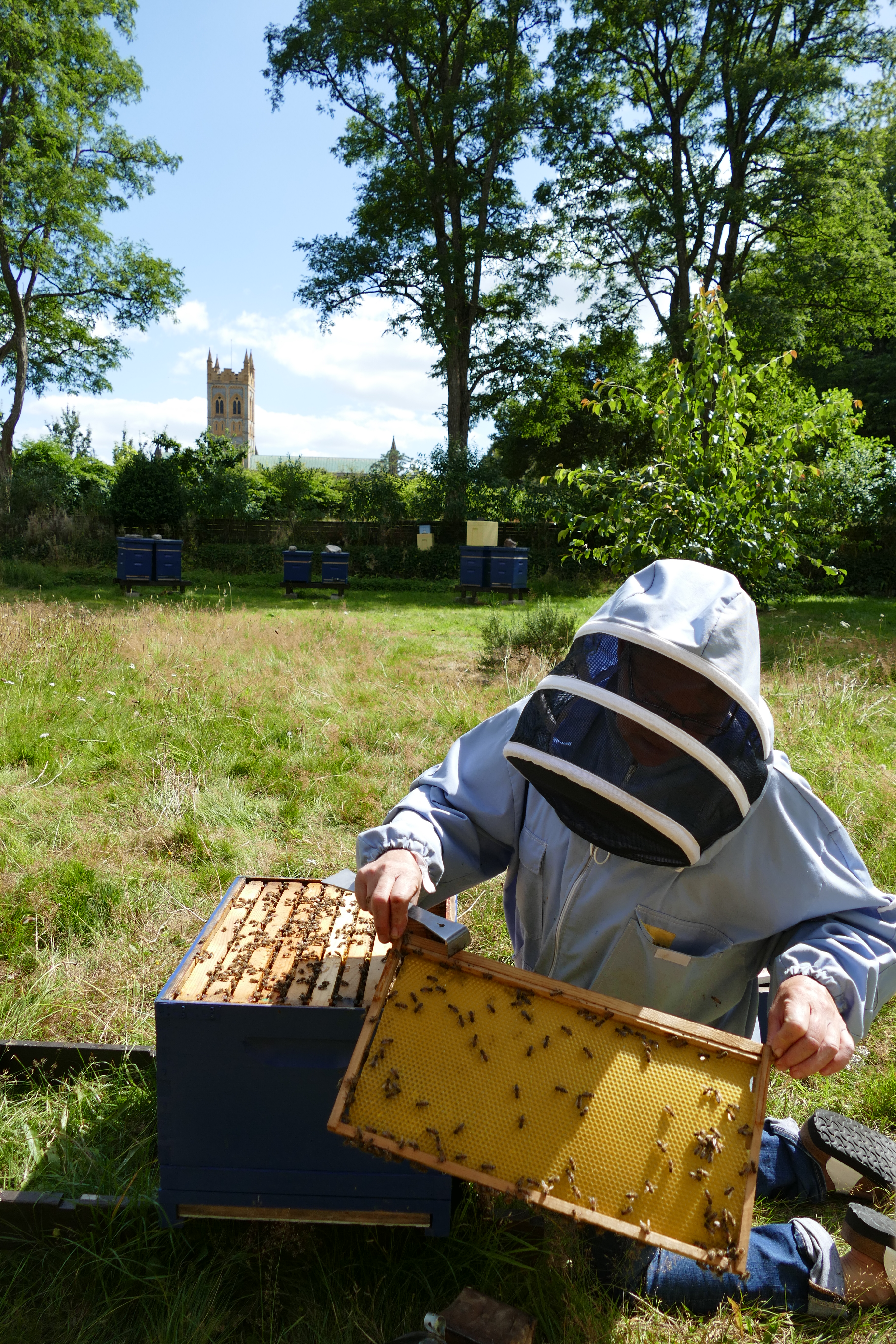 Buckfast Abbey Scenery (256)