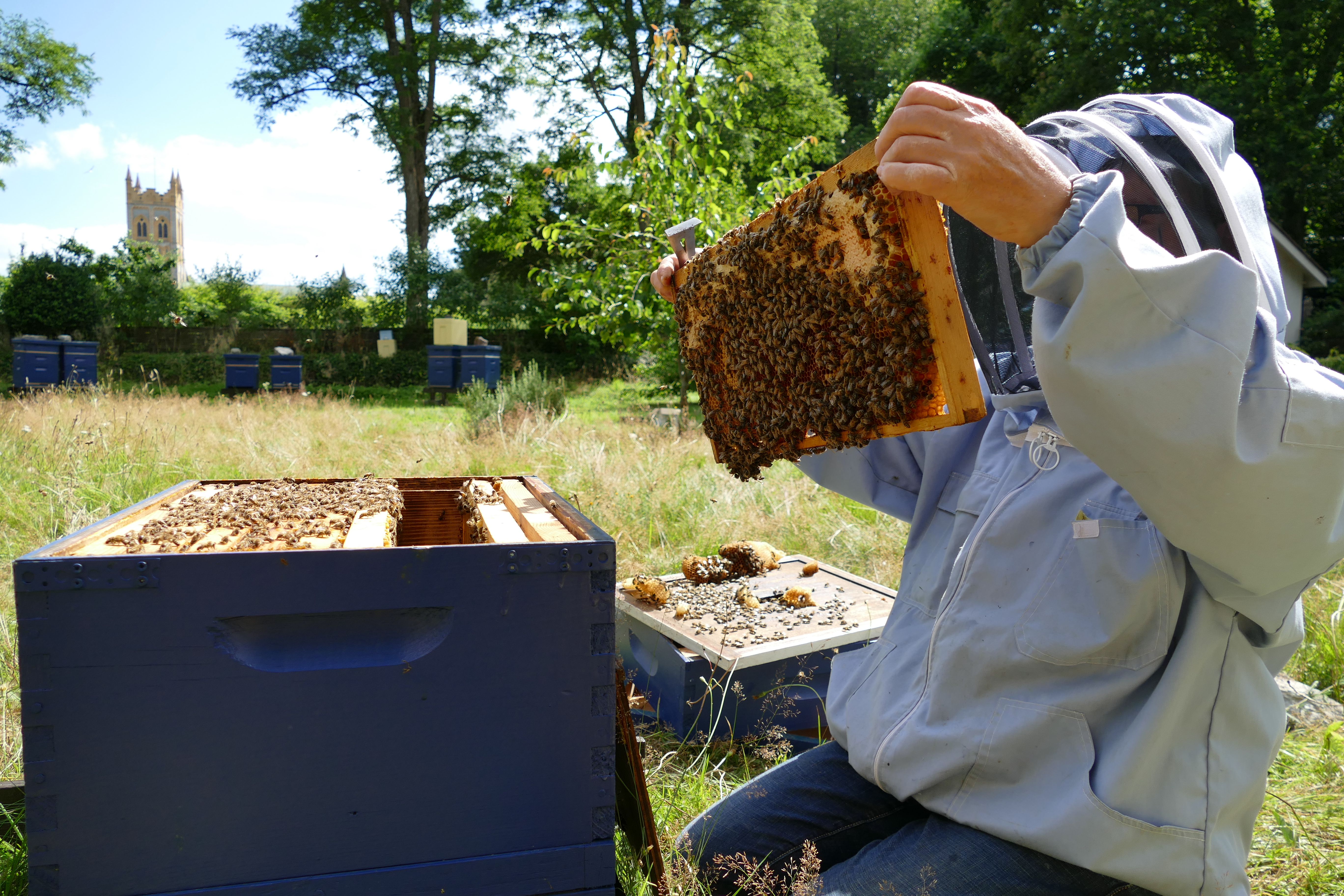 Buckfast Abbey Scenery (264)