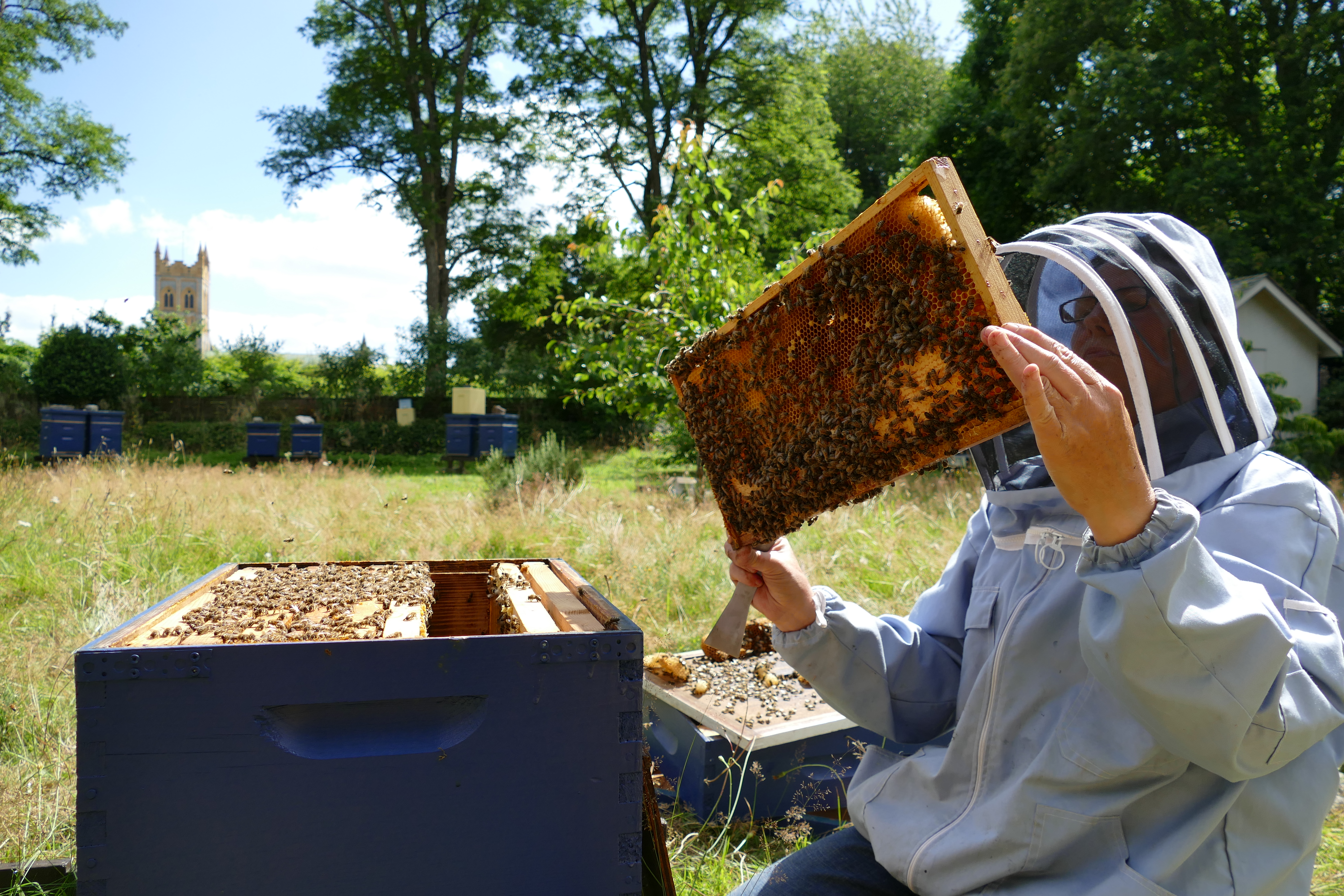 Buckfast Abbey Scenery (266)