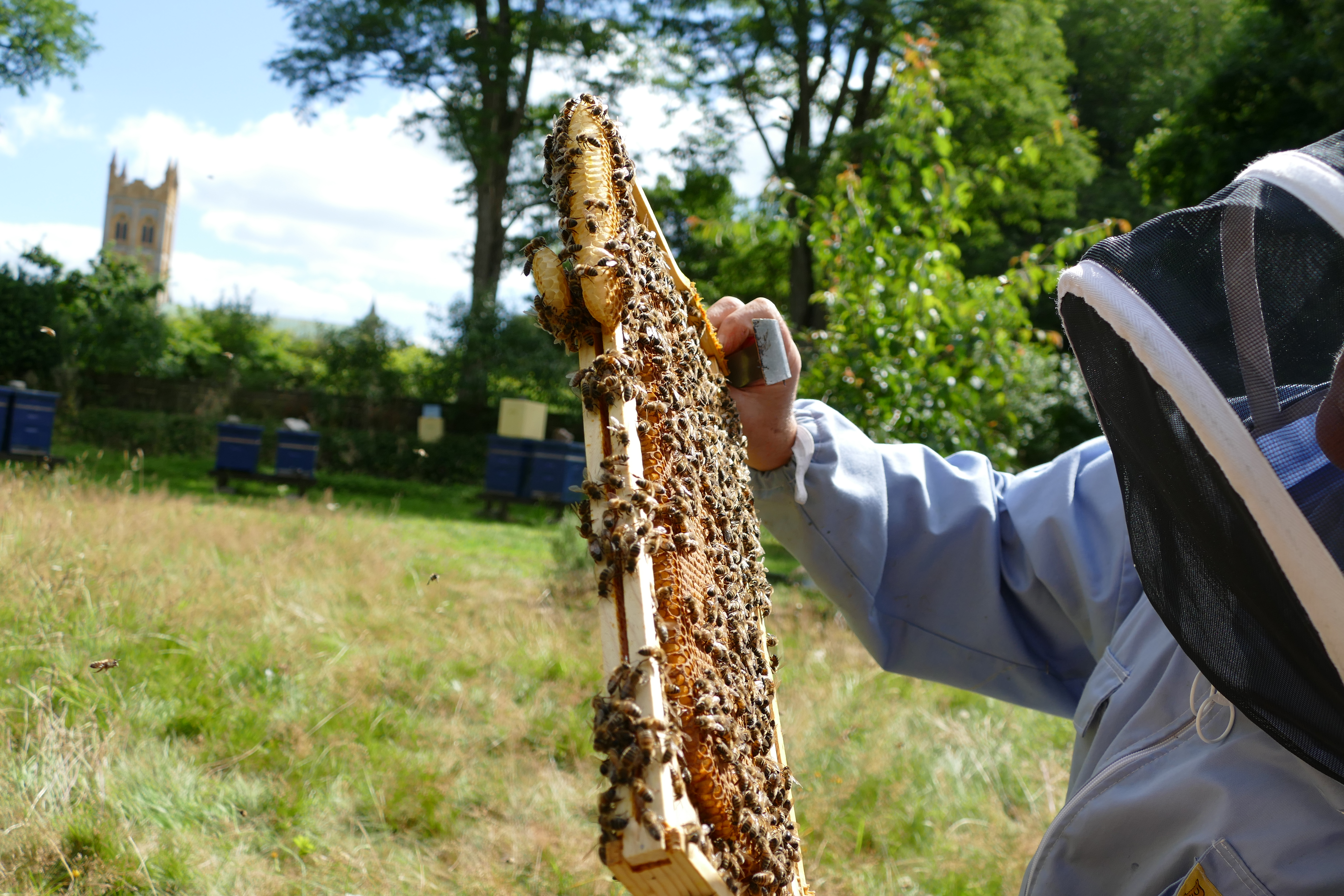 Buckfast Abbey Scenery (270)