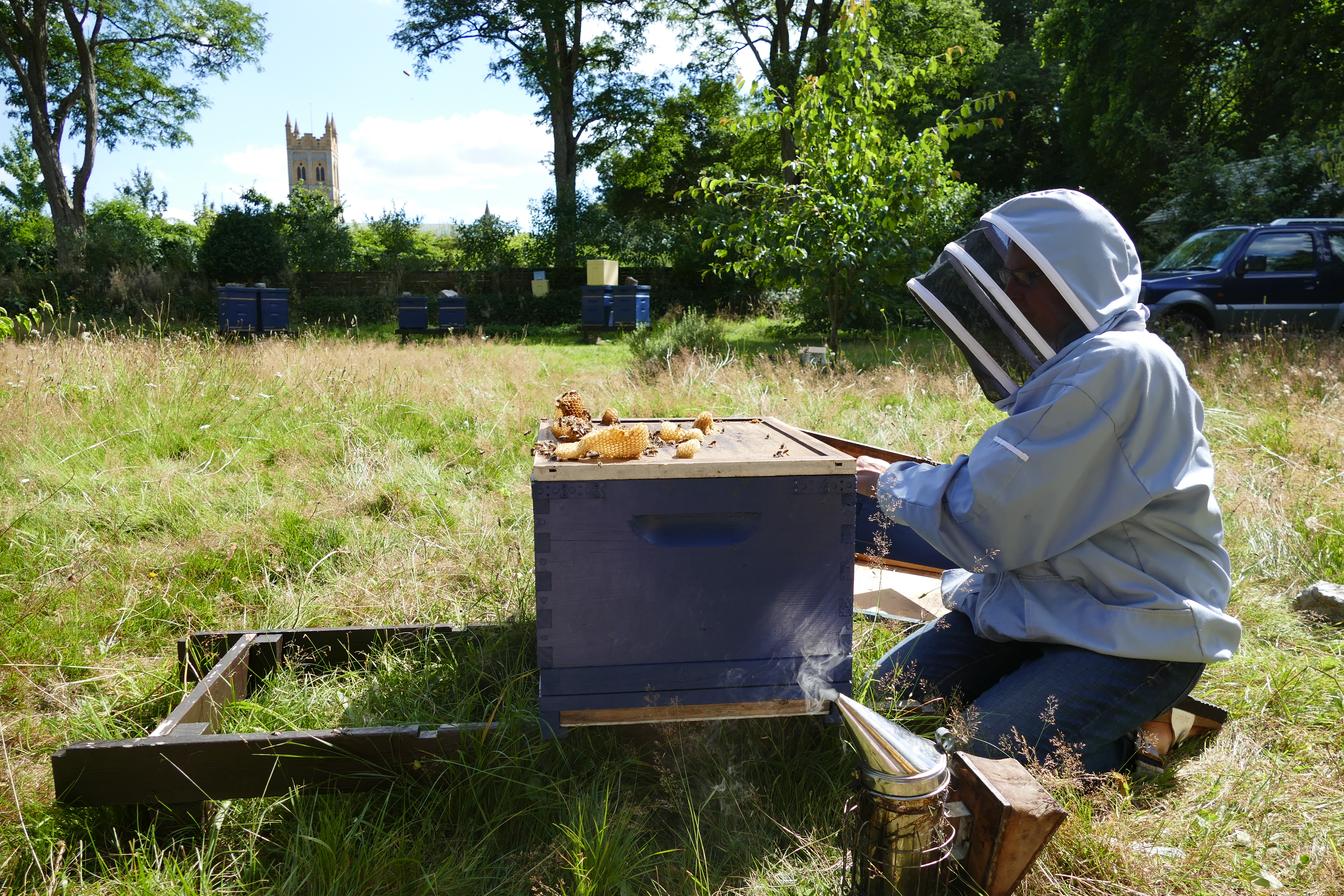 Buckfast Abbey Scenery (331)