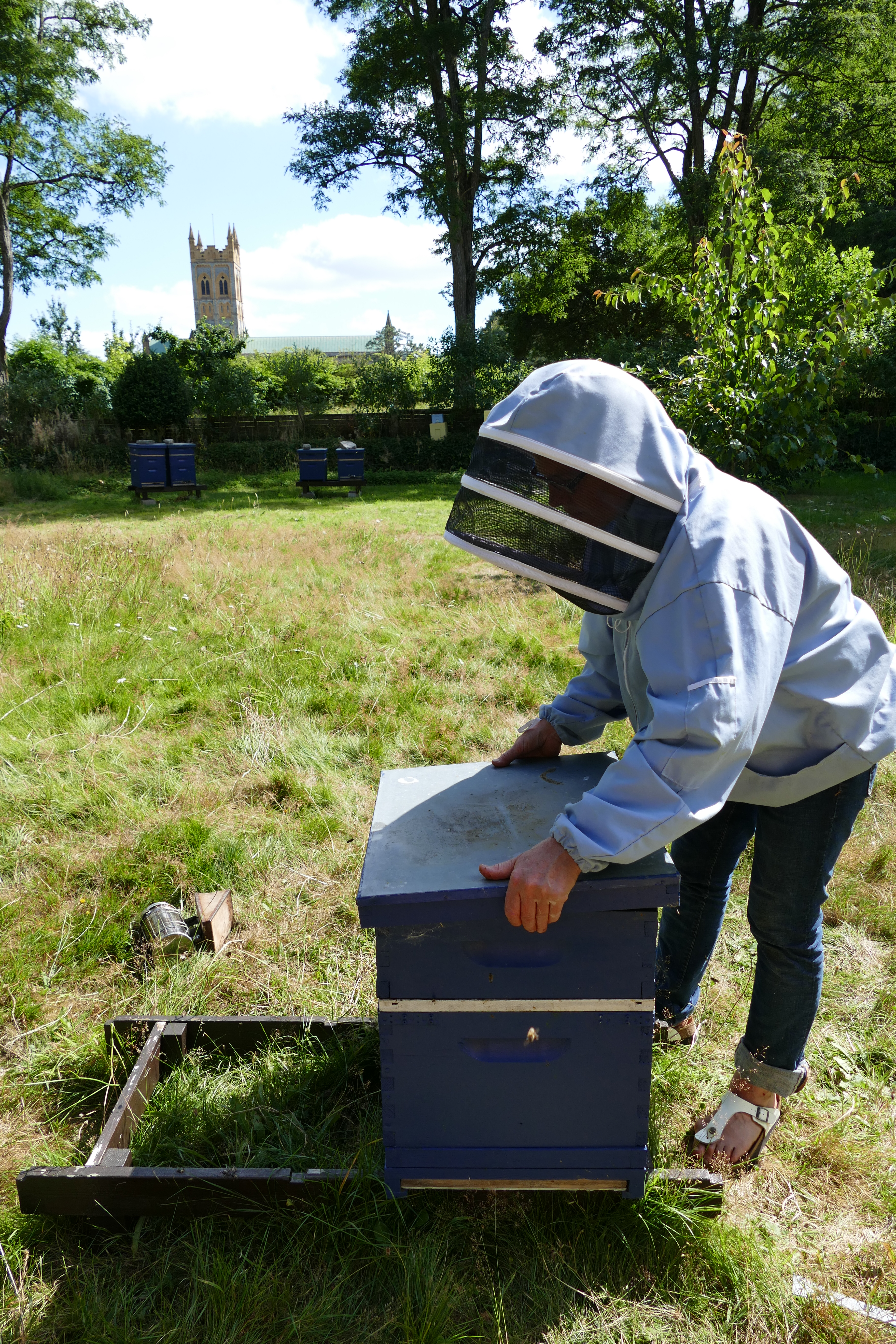 Buckfast Abbey Scenery (351)
