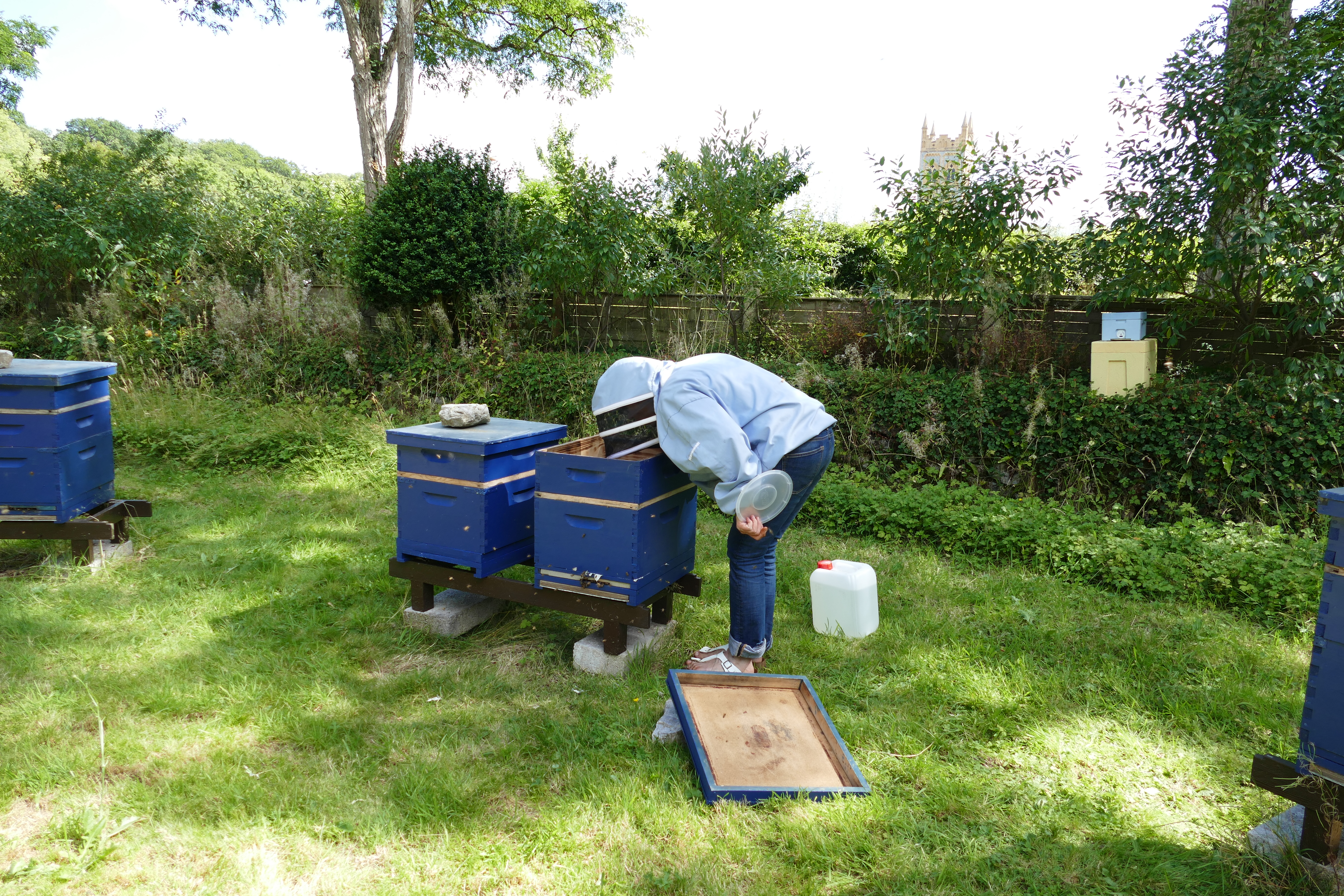 Buckfast Abbey Scenery (361)