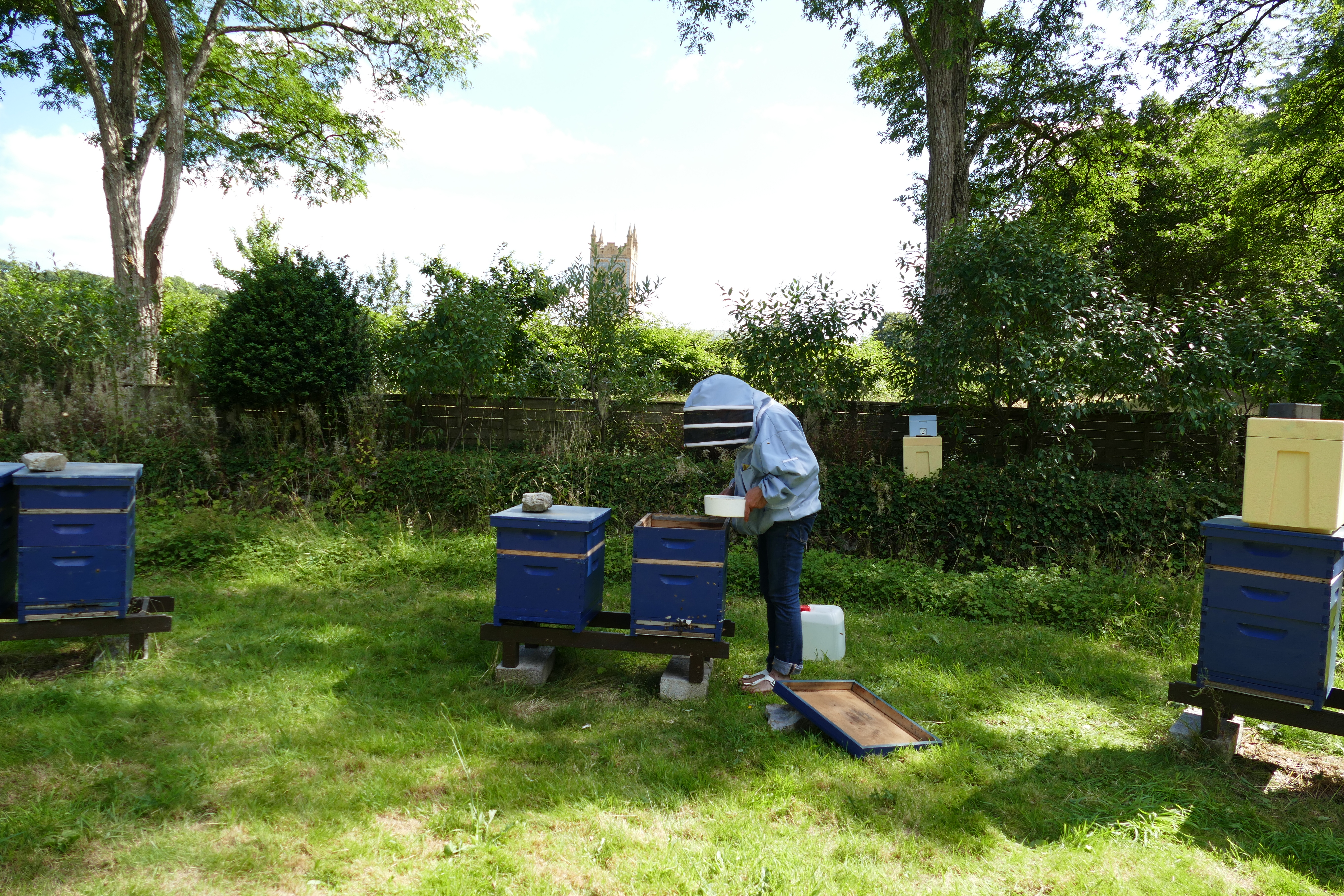 Buckfast Abbey Scenery (362)