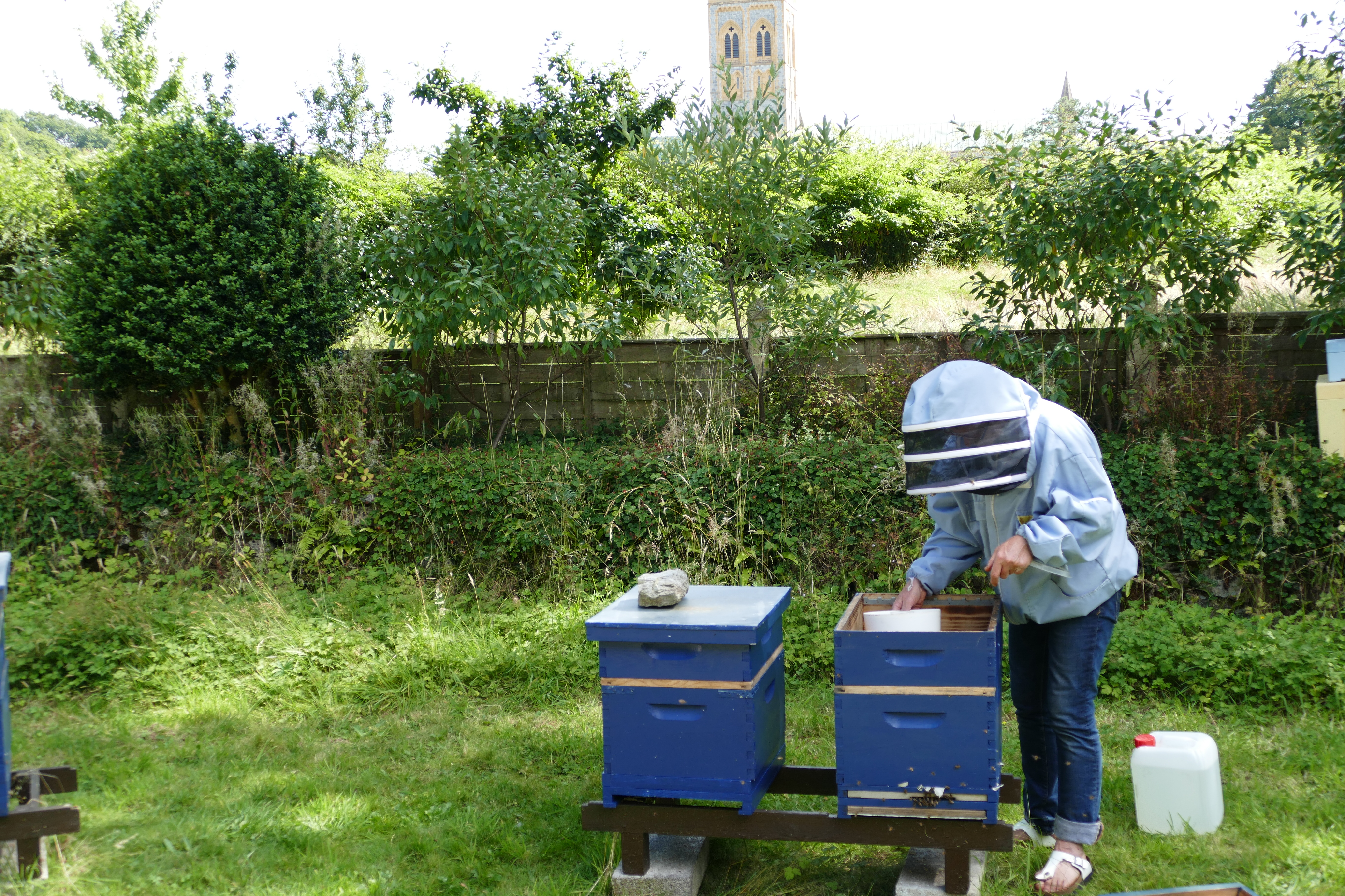Buckfast Abbey Scenery (366)