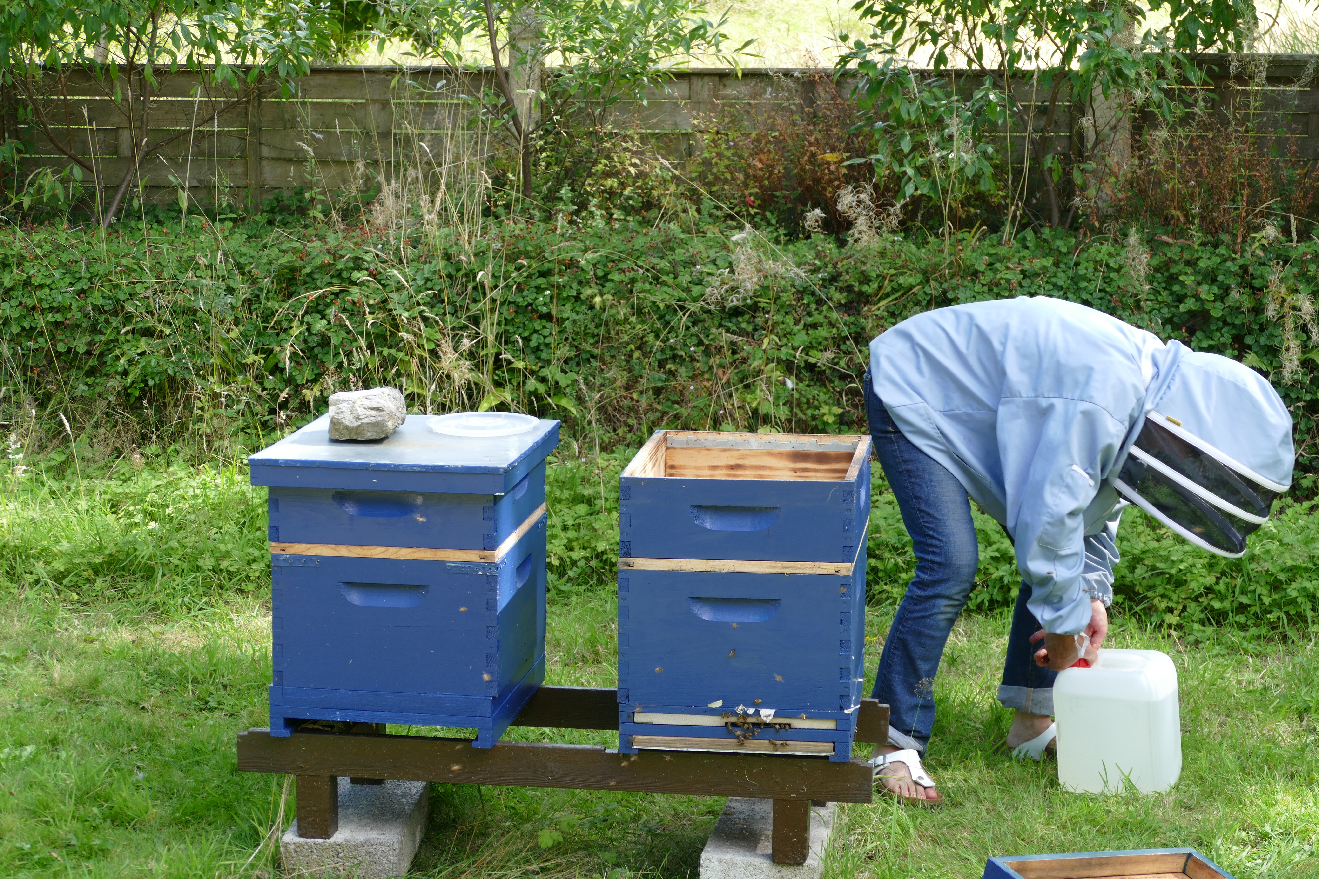 Buckfast Abbey Scenery (368)