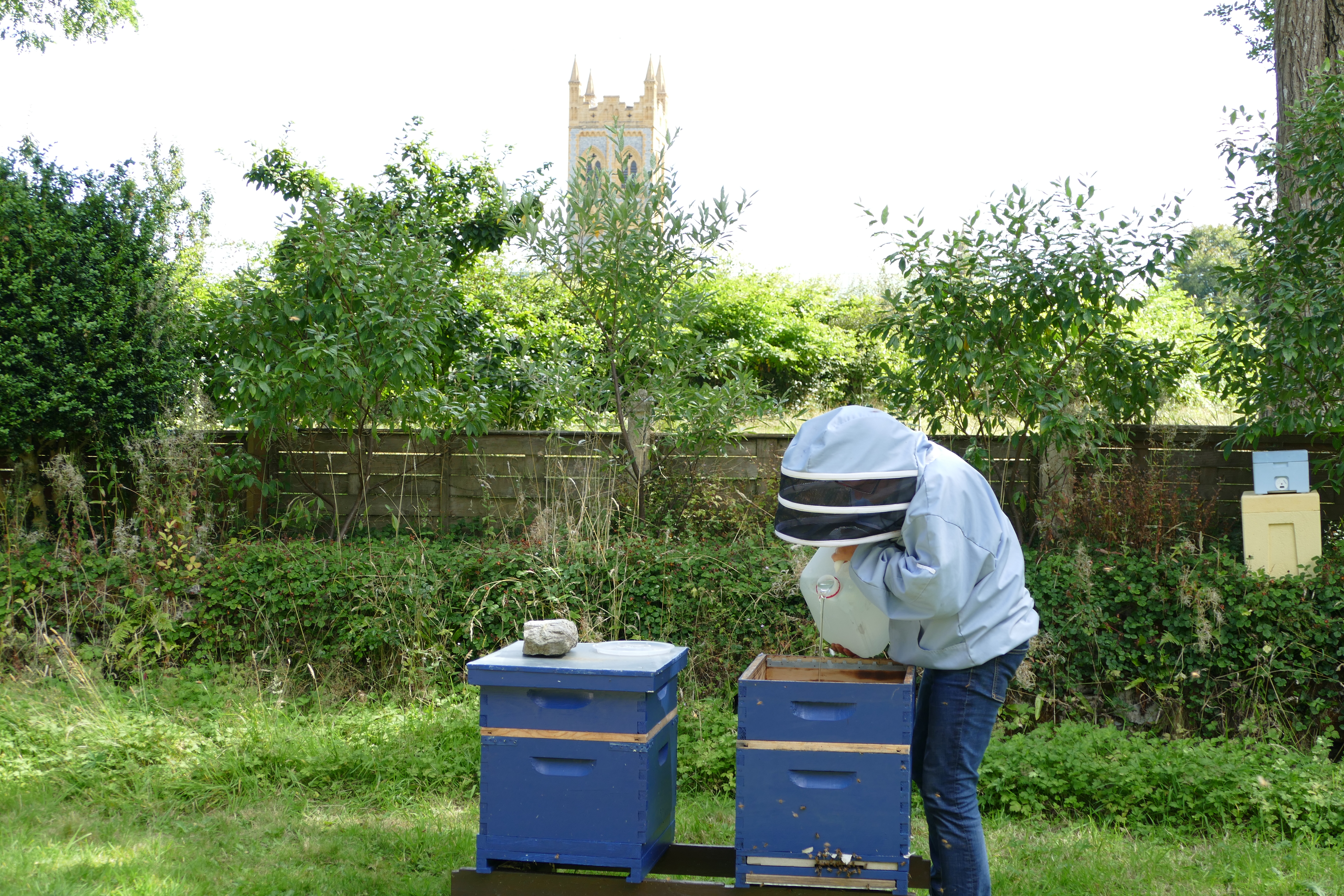 Buckfast Abbey Scenery (373)