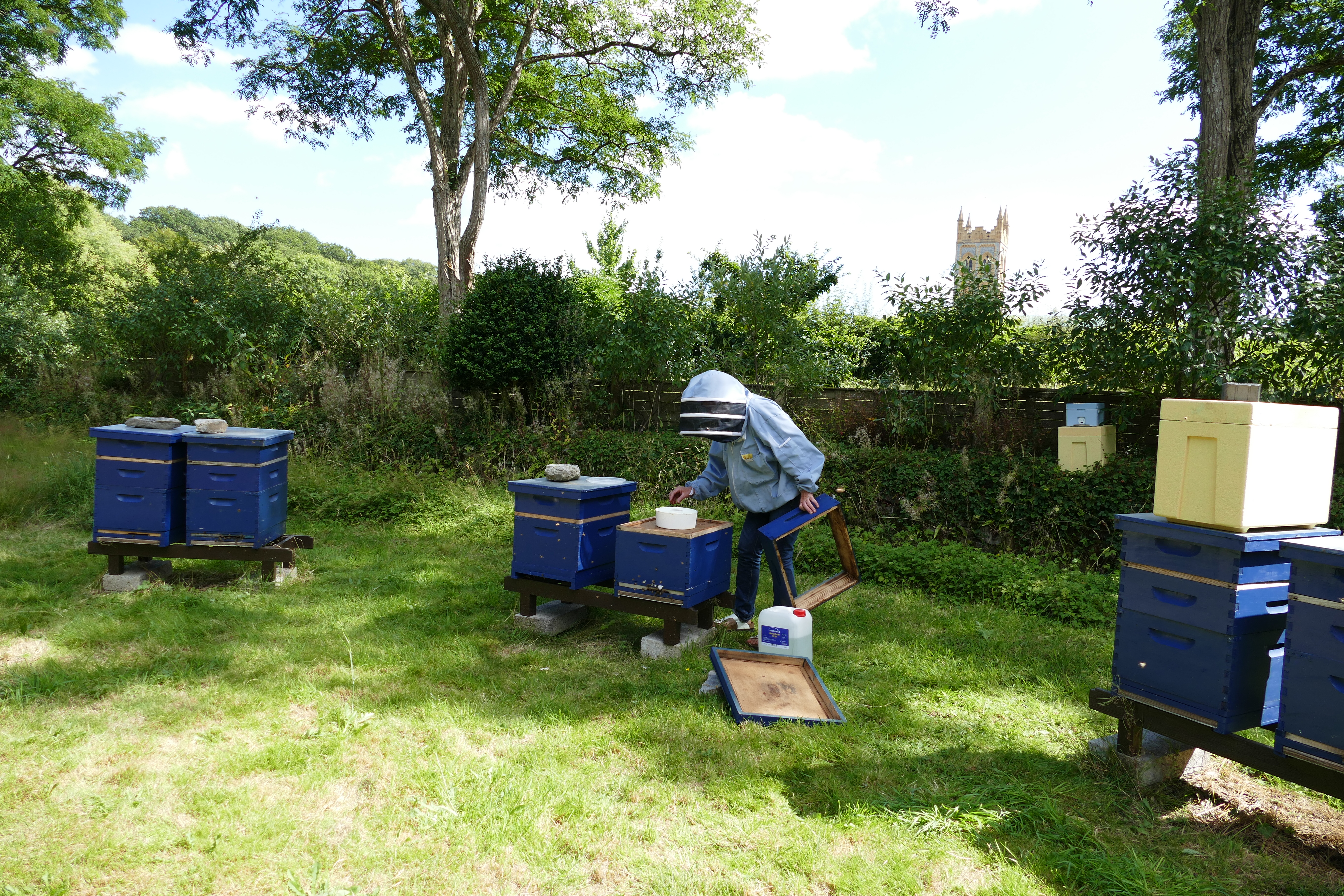 Buckfast Abbey Scenery (376)