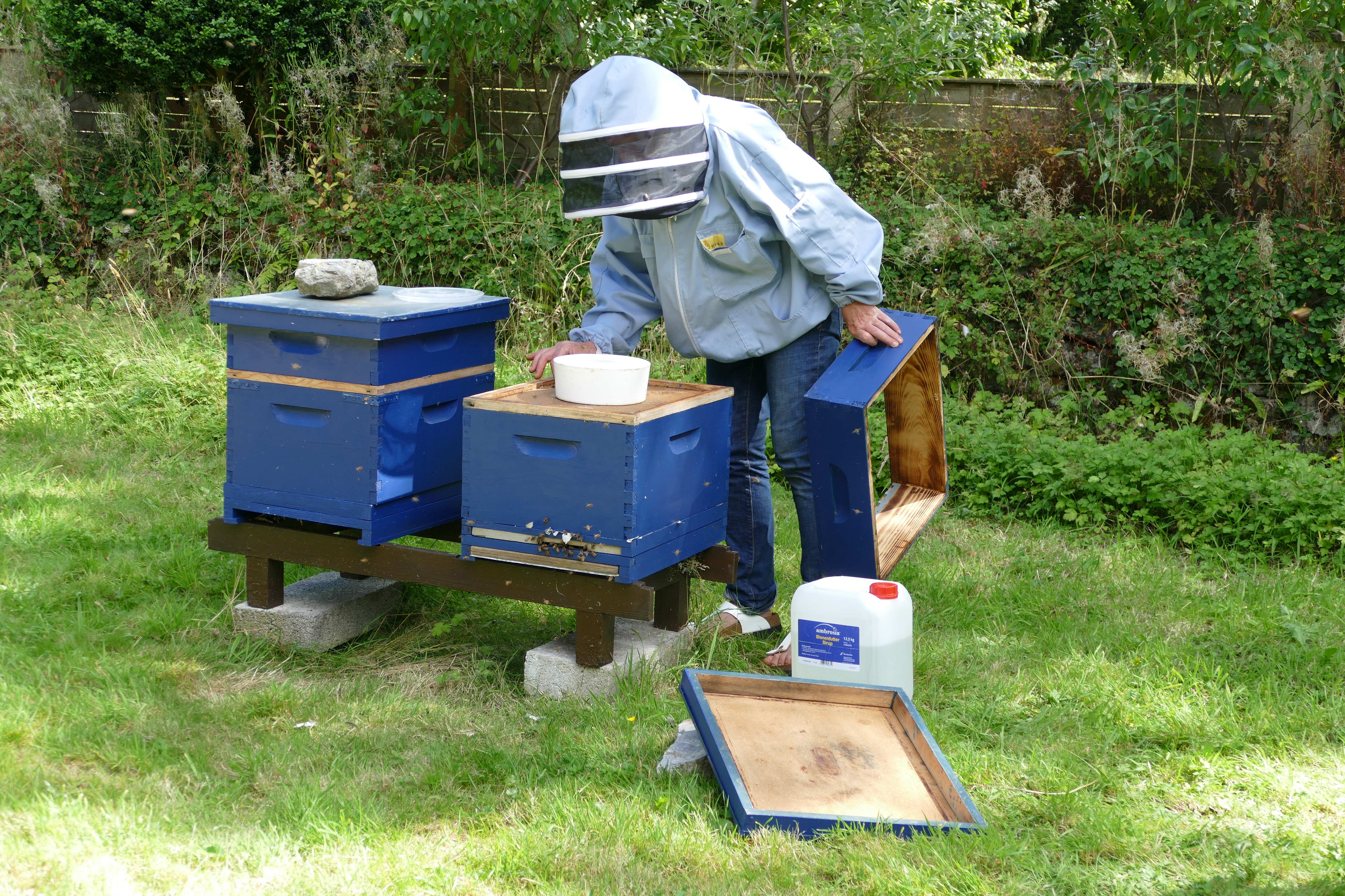 Buckfast Abbey Scenery (377)