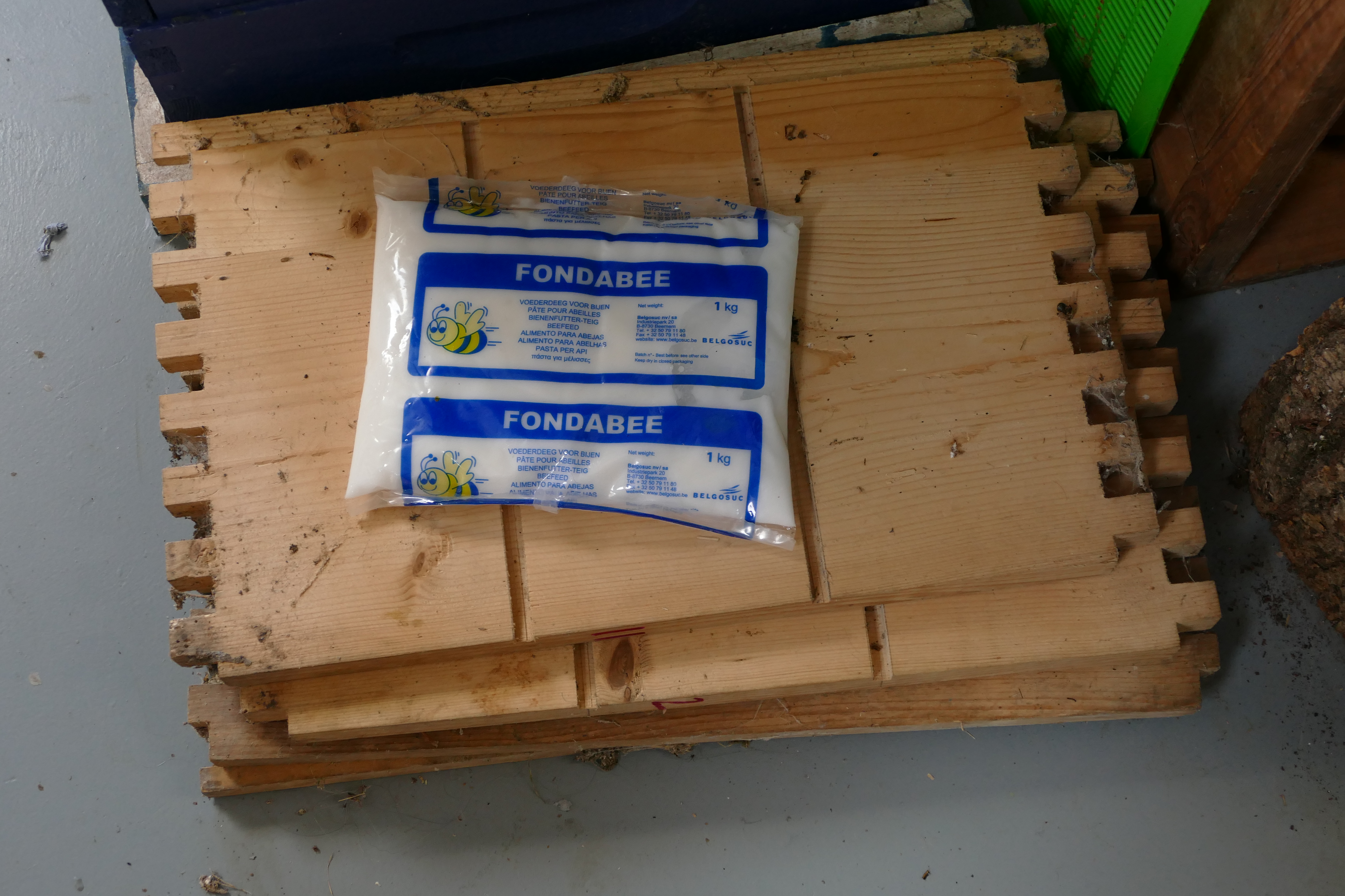 Buckfast Abbey Scenery (420)