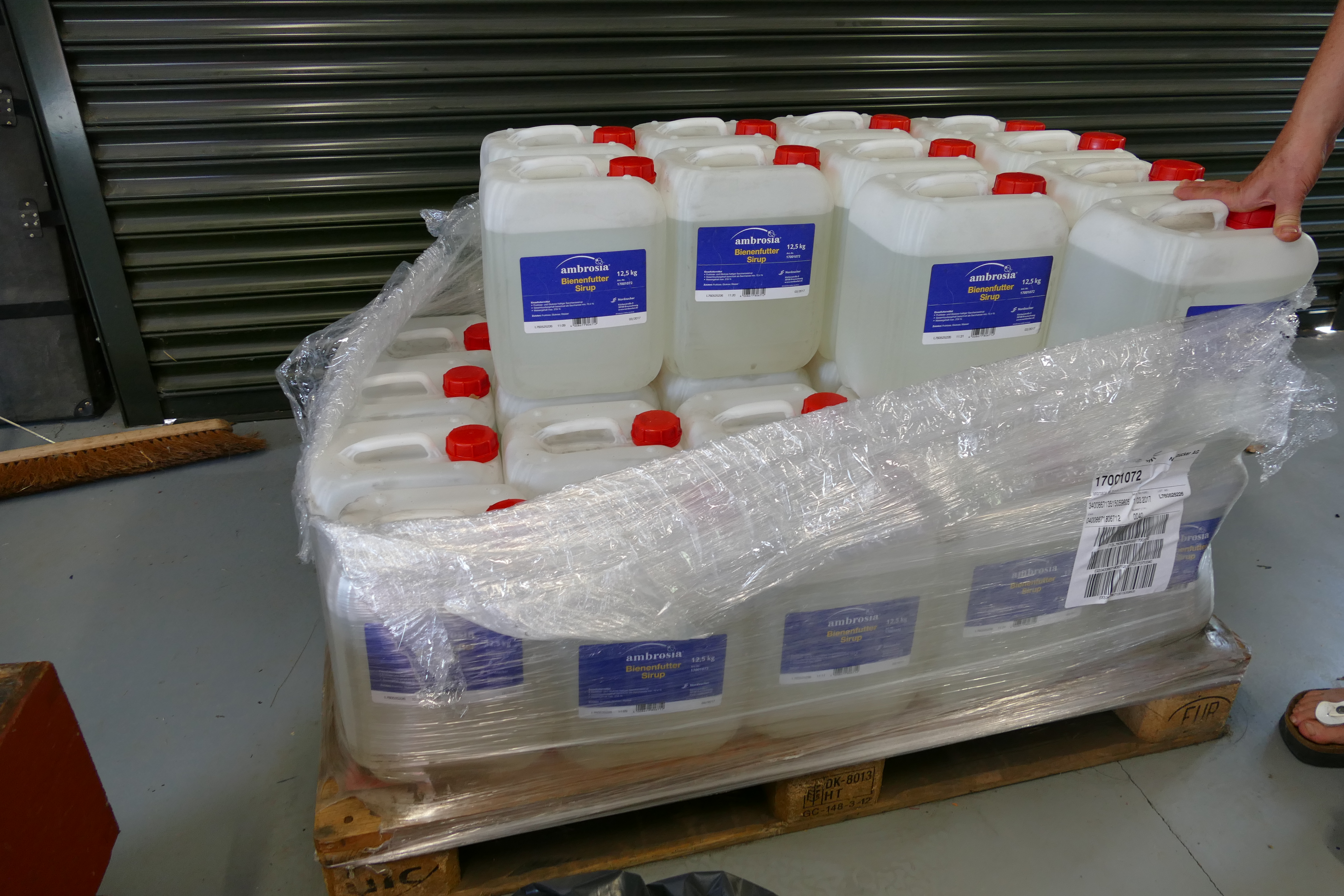 Buckfast Abbey Scenery (421)