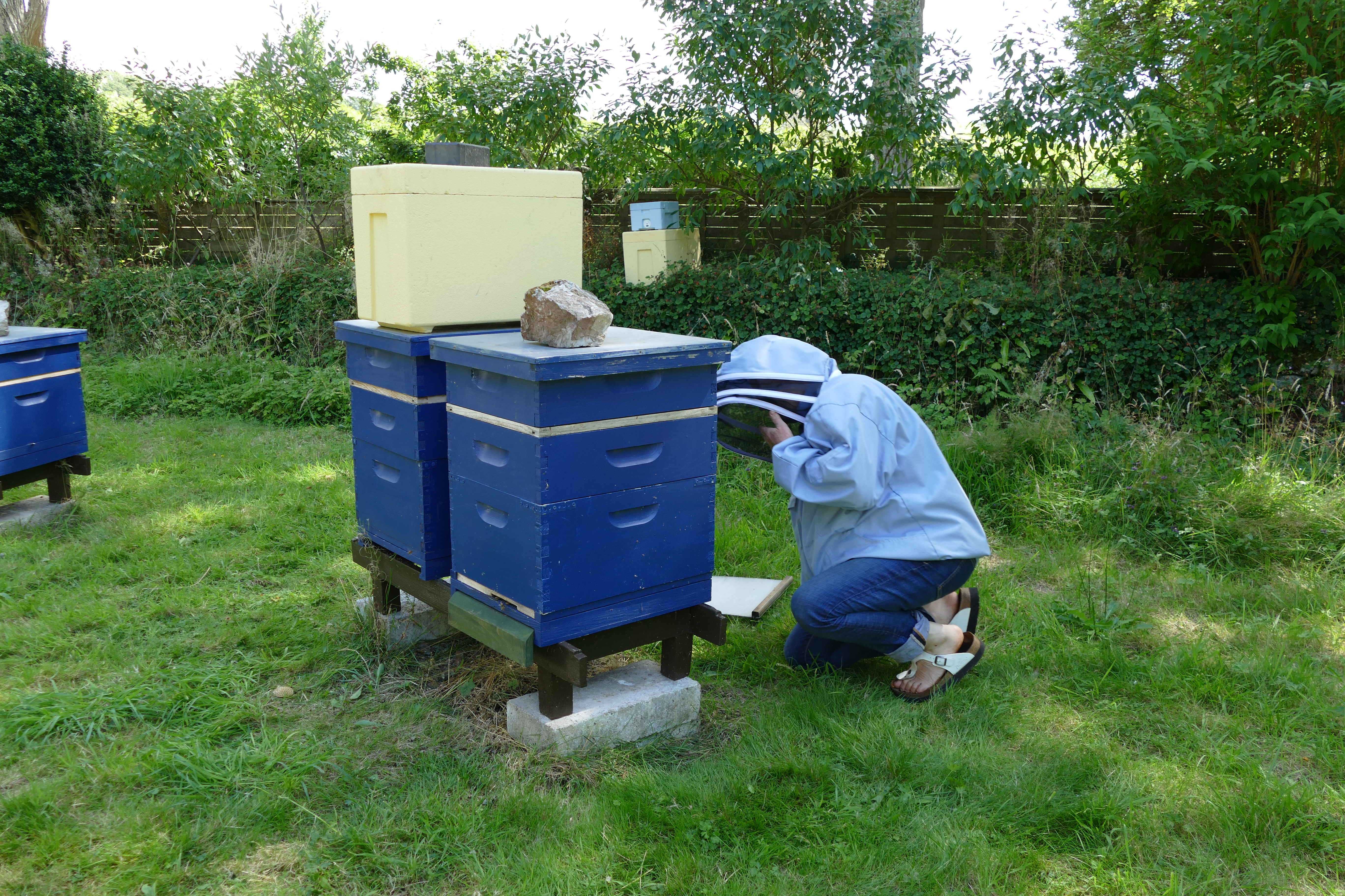 Buckfast Abbey Scenery (98)