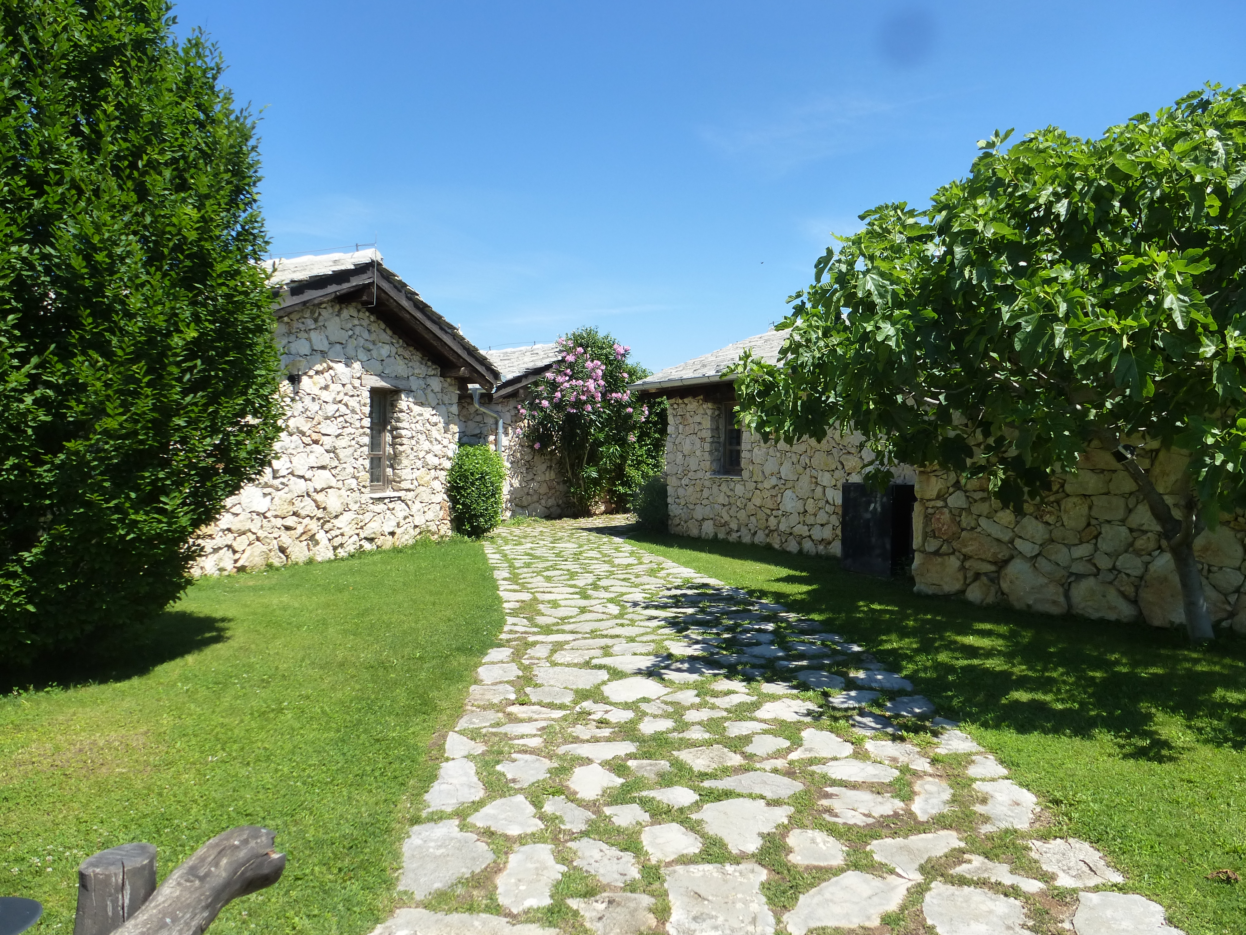 etno-selo-29-vi-2015-5