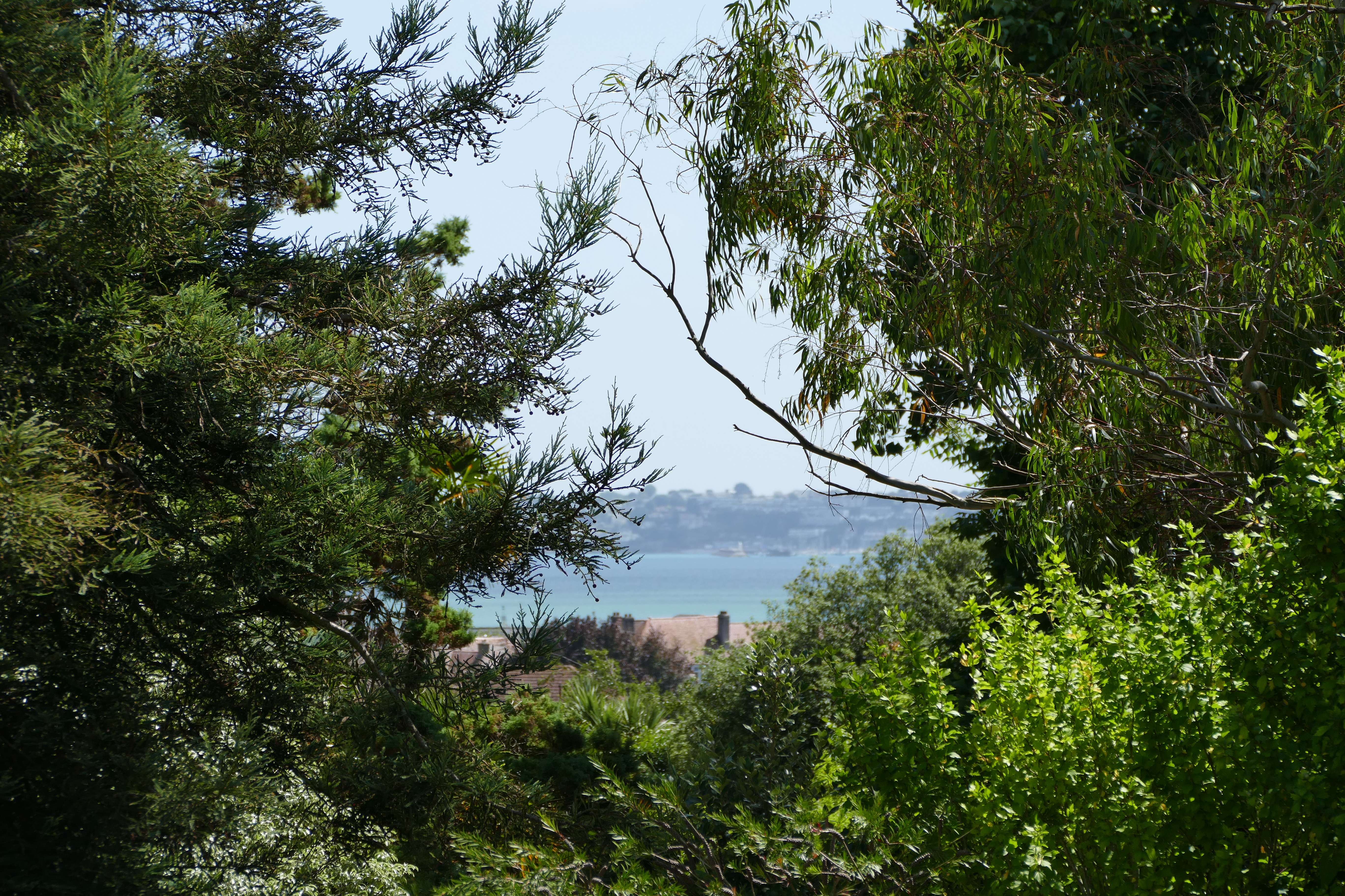 paington-oldway-mansion-32