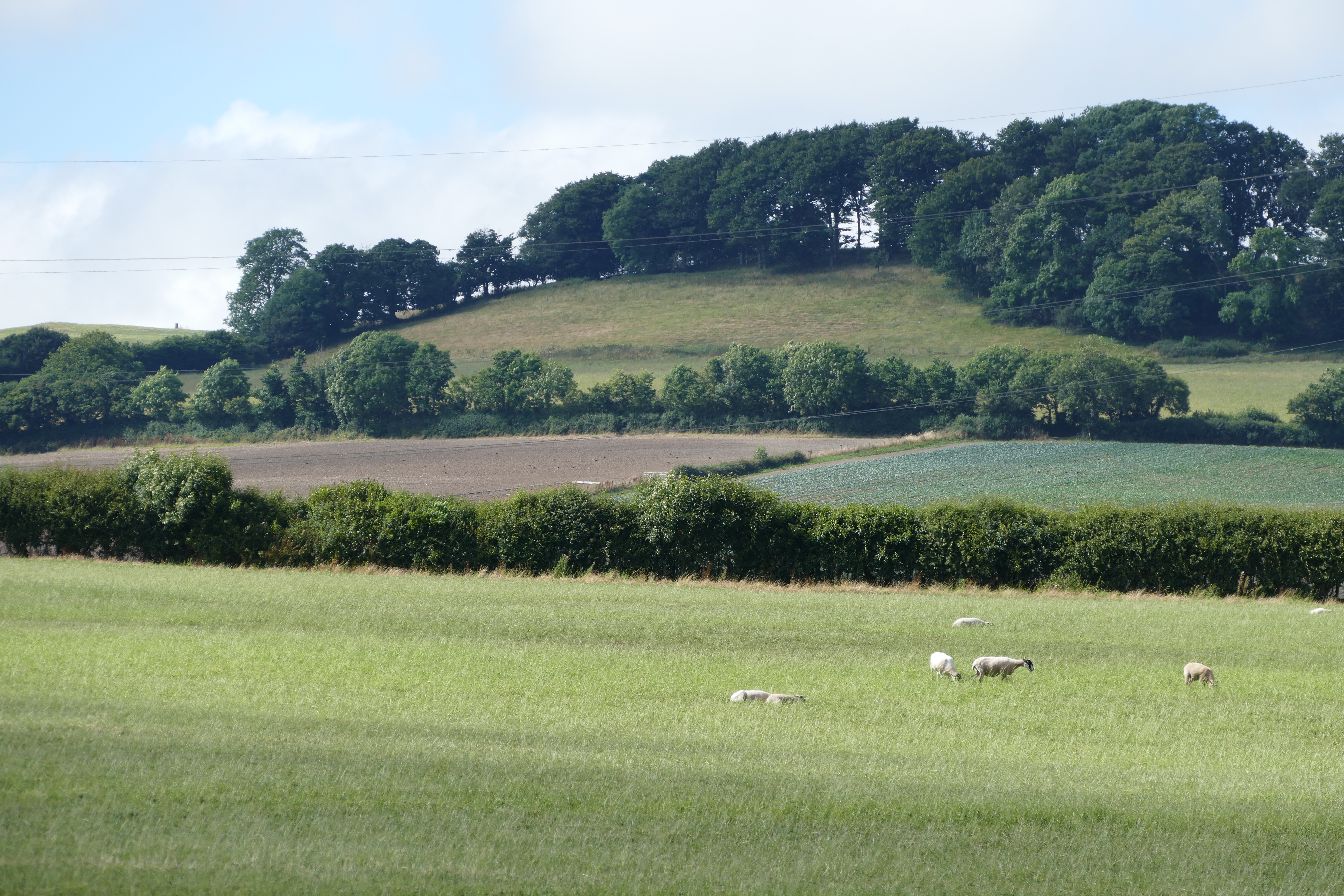 Dartmoor National Park, Devon (16)