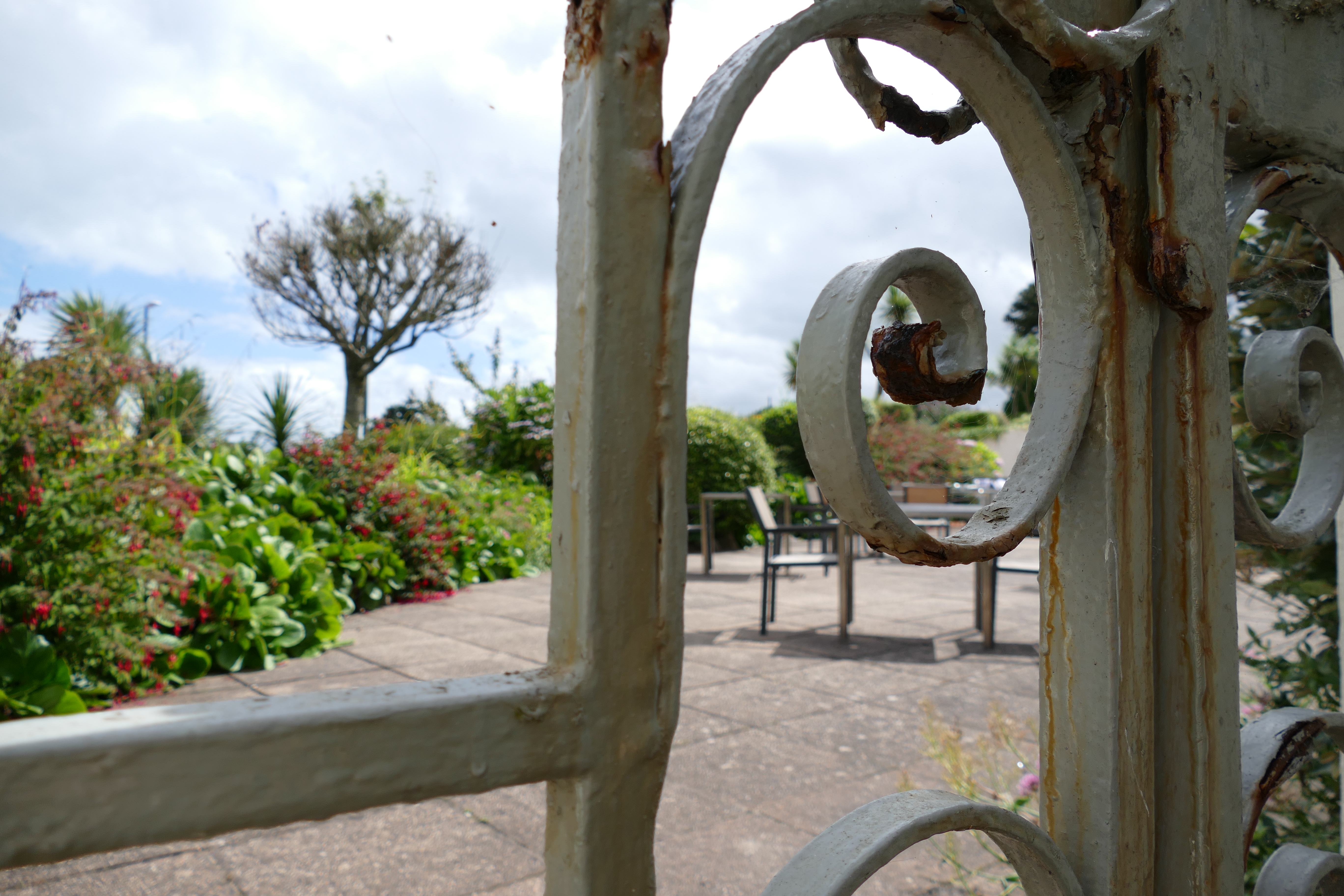 Torquay Agatha Christie Mile Scenery (72)